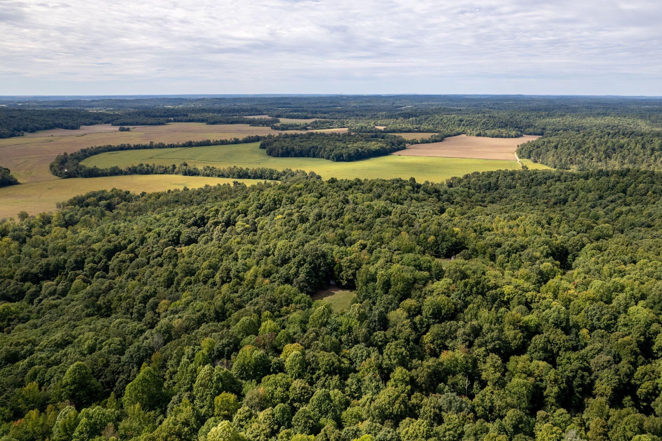 Hartford, Ohio County, KY Recreational Property, Timberland Property