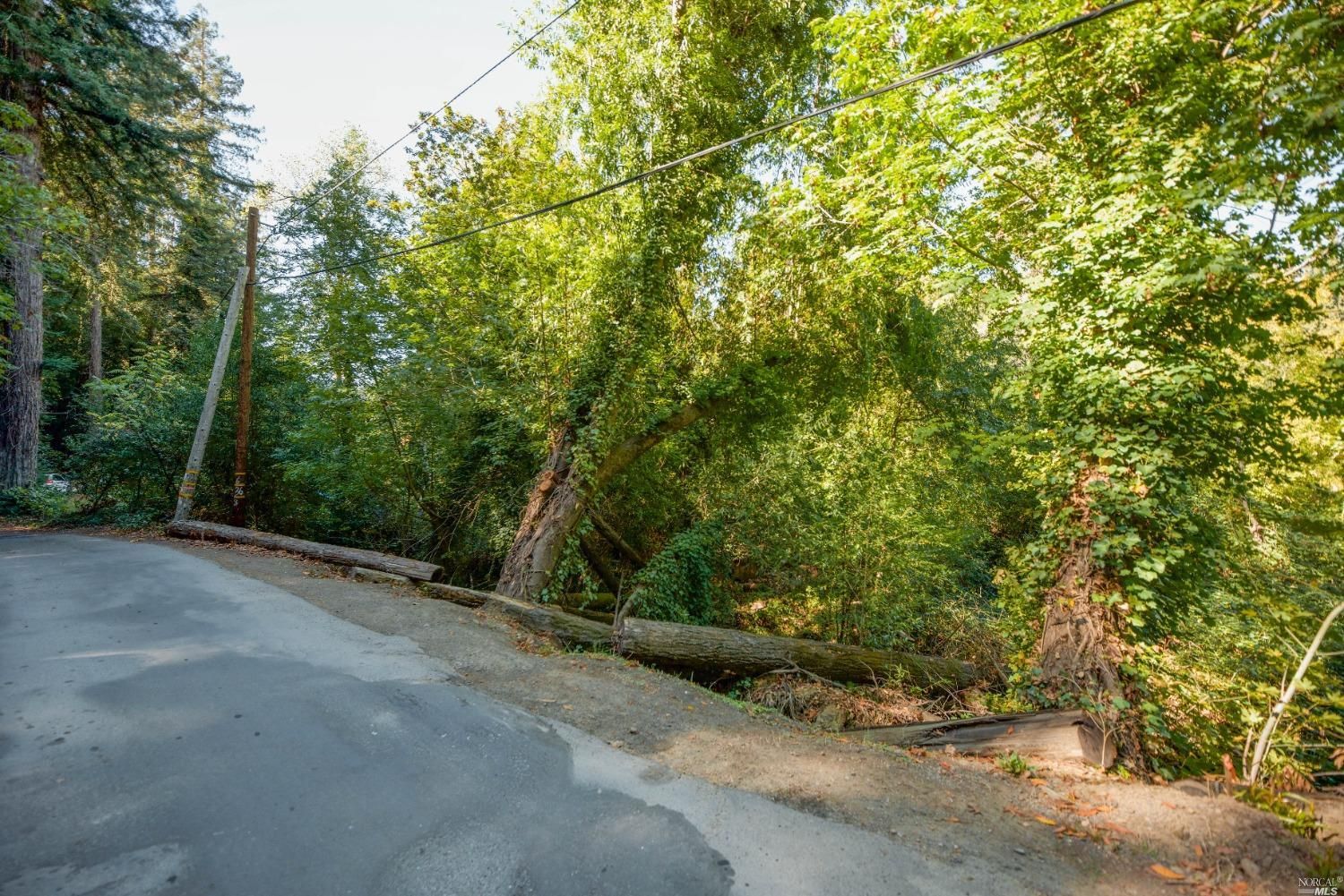 Forestville, Sonoma County, CA Undeveloped Land, Homesites for sale