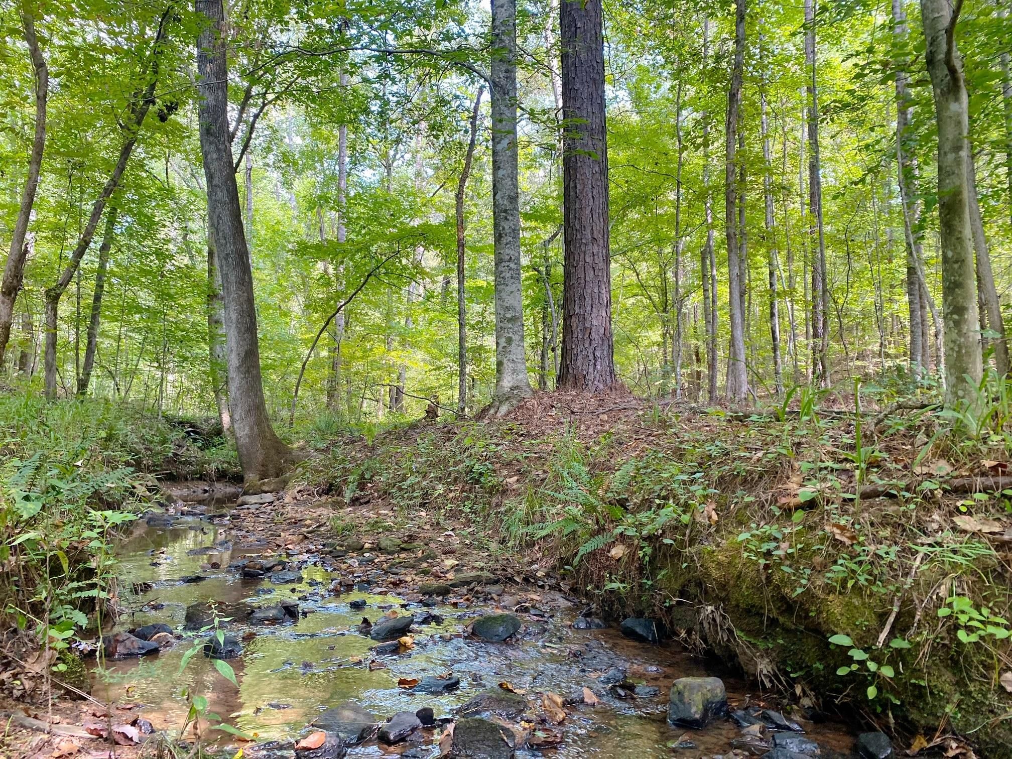 Weogufka, Coosa County, AL Recreational Property, Timberland Property