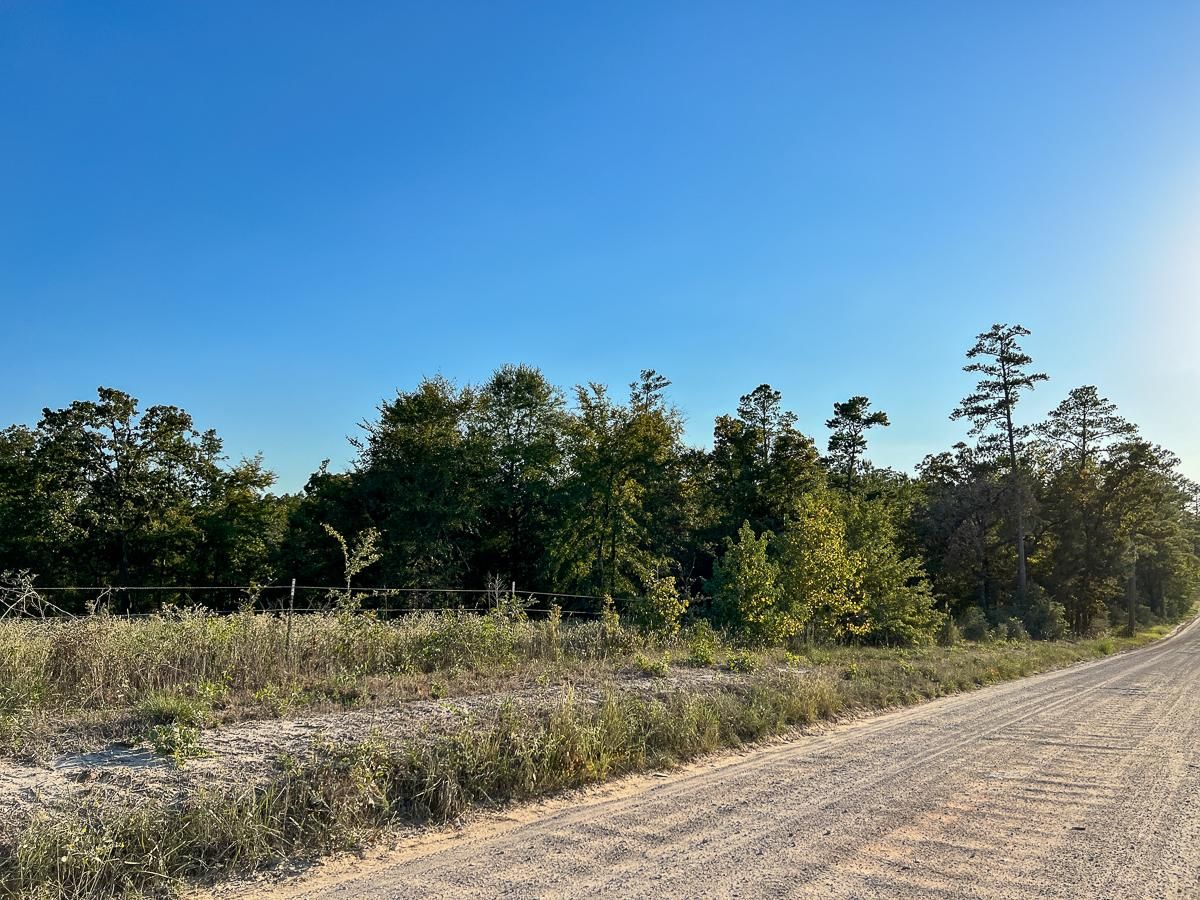 Huntsville, Walker County, TX Recreational Property, Timberland