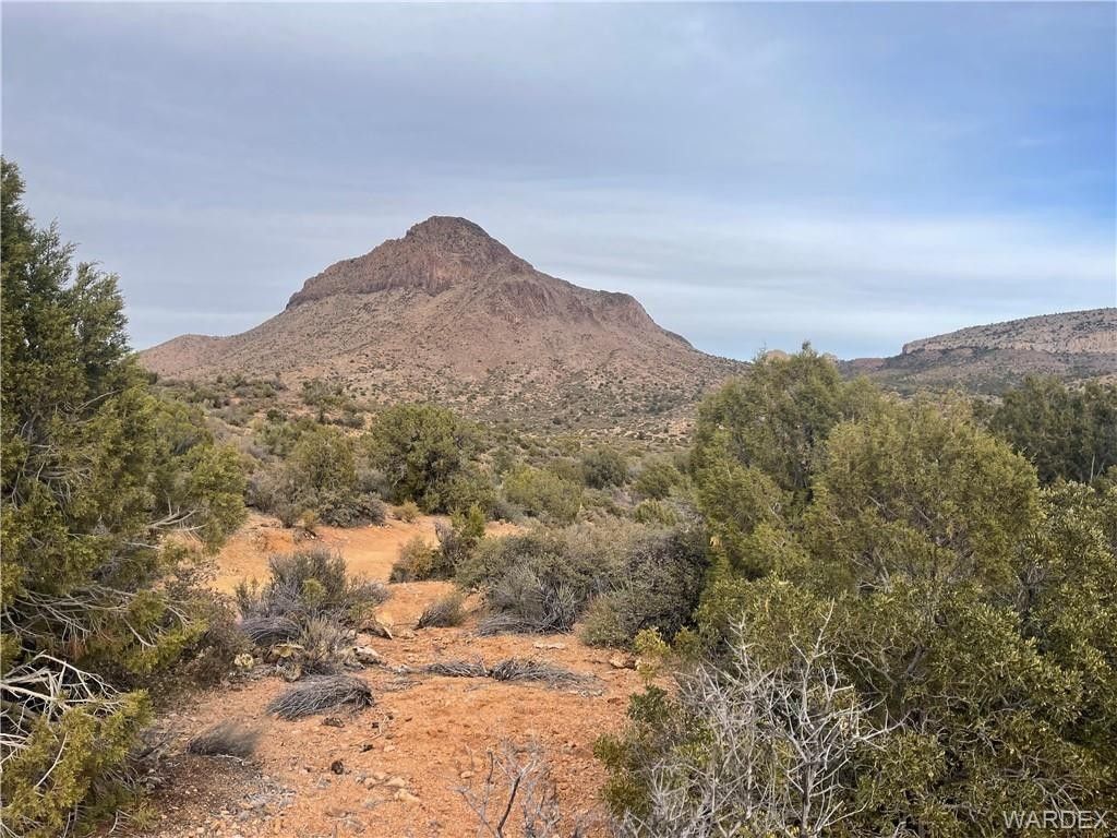 Kingman, Mohave County, AZ Undeveloped Land for sale Property ID