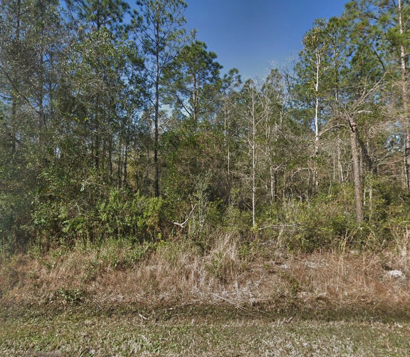 Bunnell, Flagler County, FL Recreational Property, Undeveloped Land