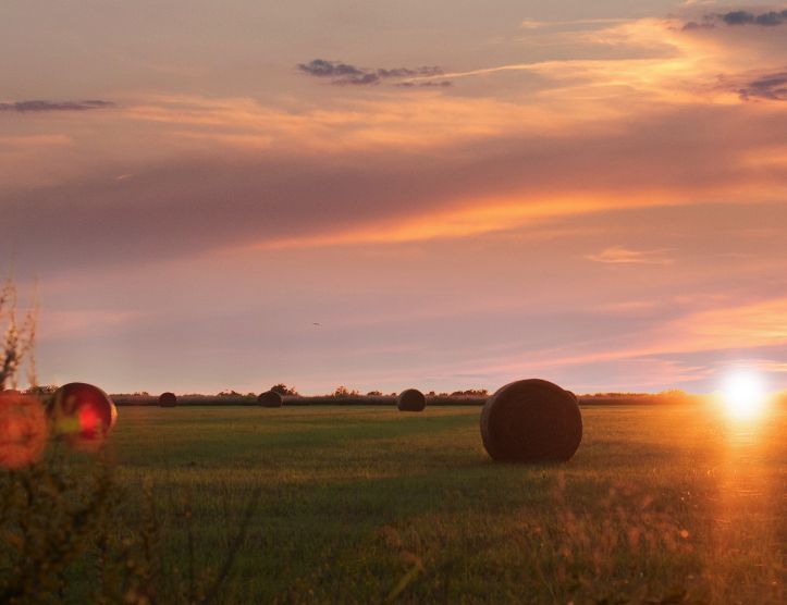 Wagoner, Wagoner County, OK Recreational Property, Undeveloped Land