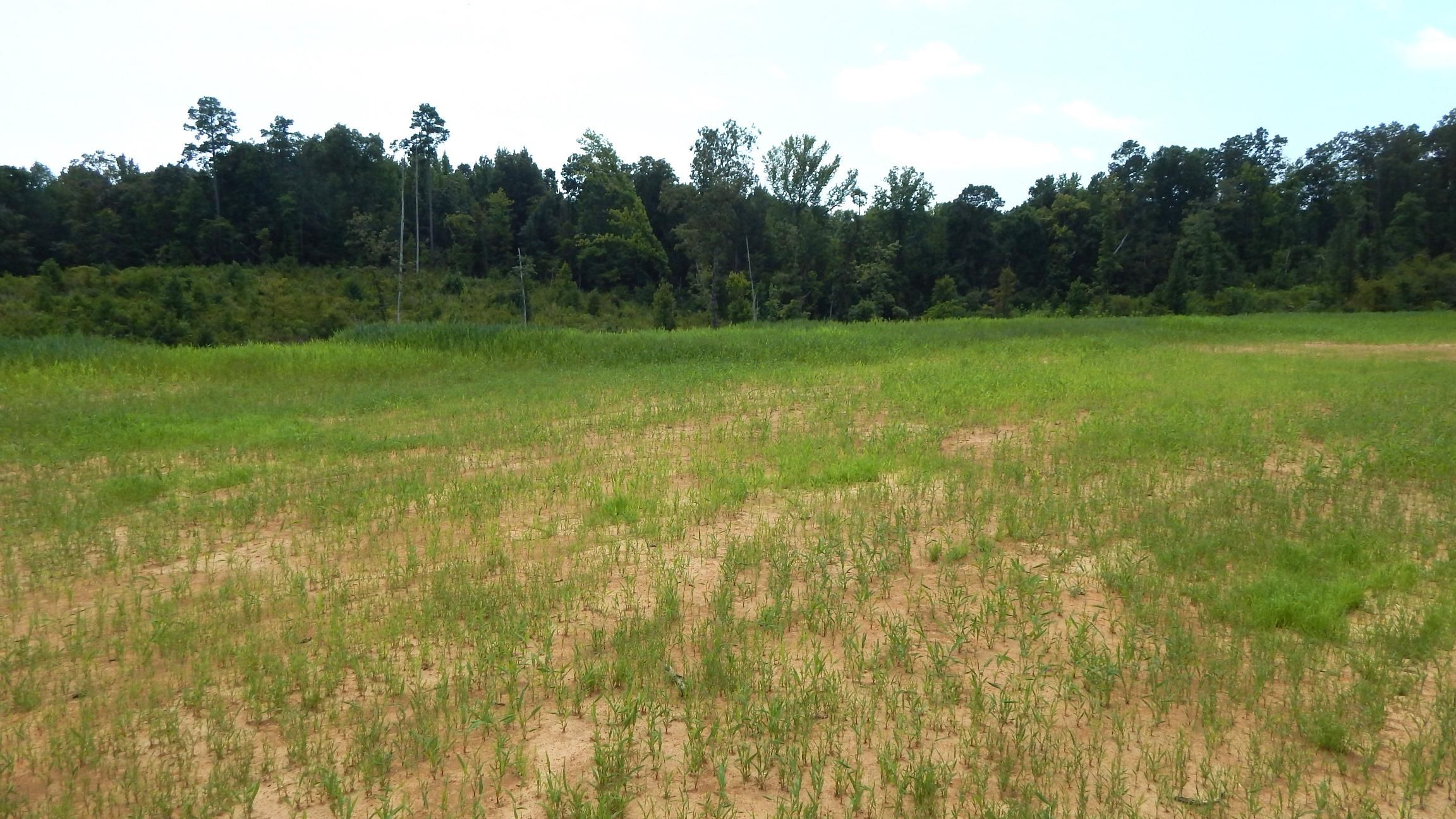 Grenada, Grenada County, MS for sale Property ID 414336956 LandWatch