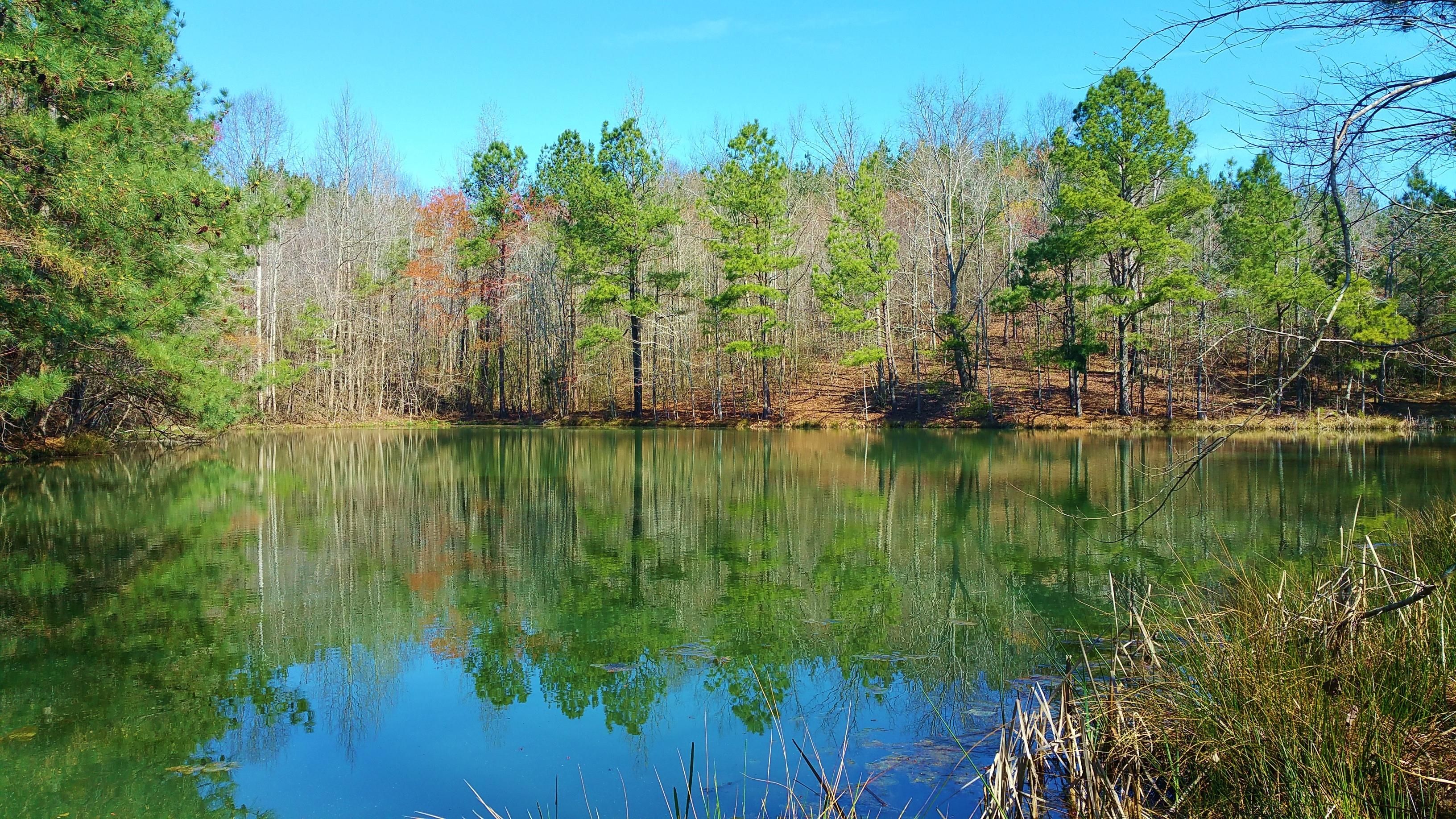 West Point, Cullman County, AL Recreational Property, Timberland