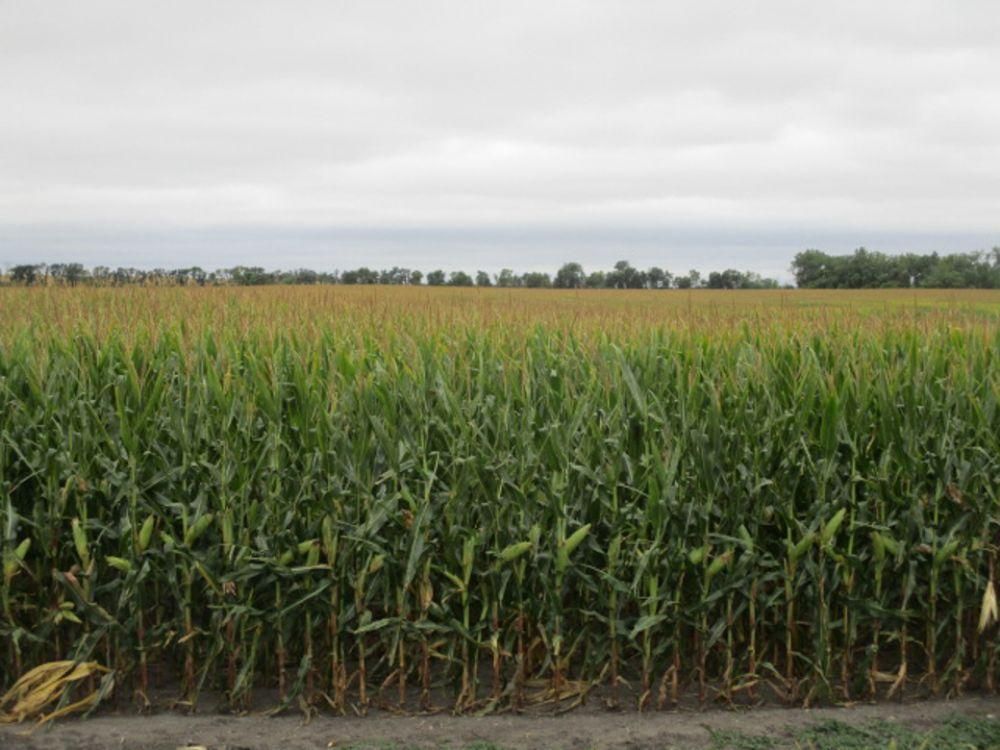 Englevale, Ransom County, ND Farms and Ranches, Undeveloped Land for sale Property ID 414985304