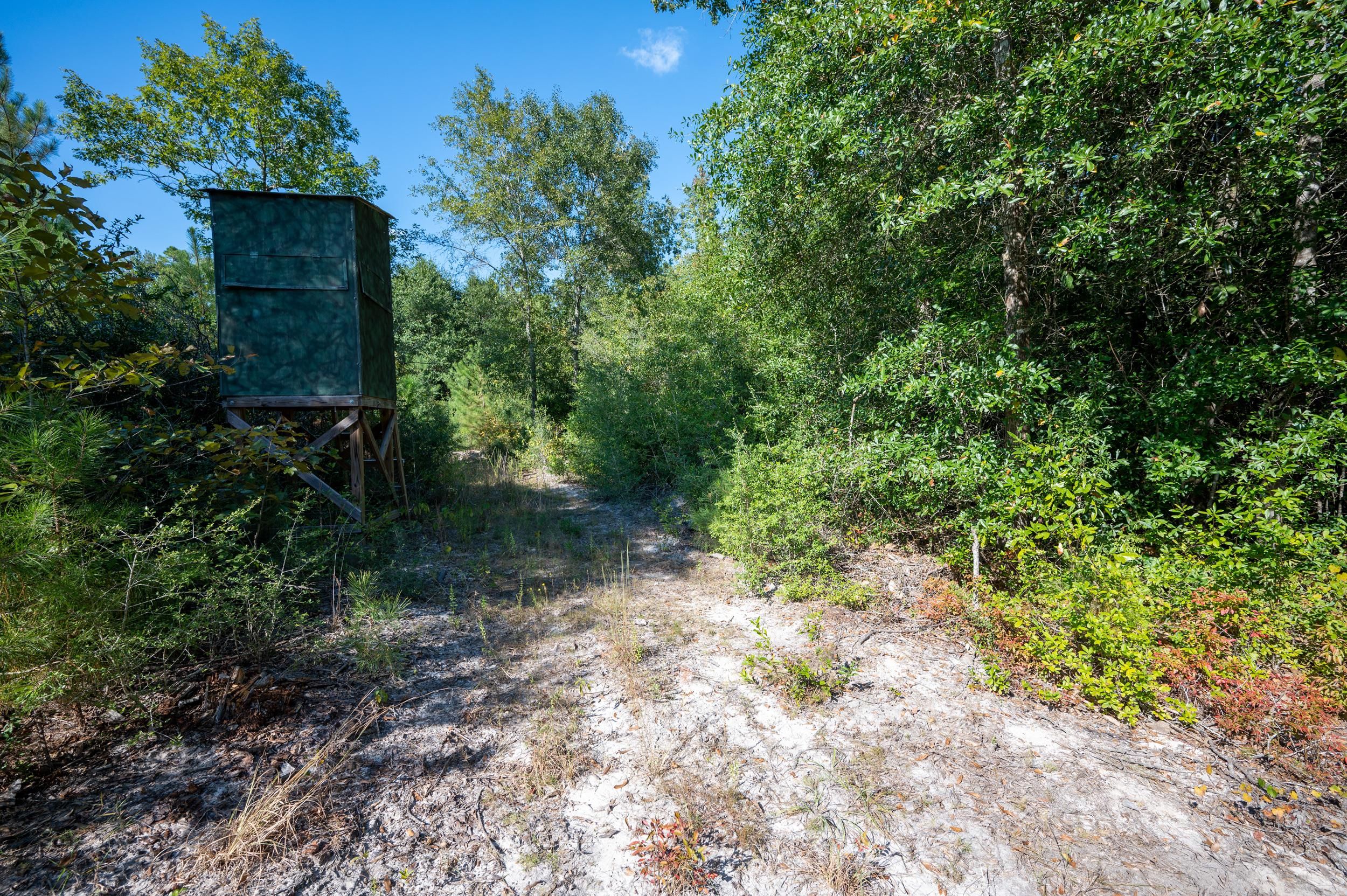 Warren, Tyler County, TX Recreational Property, Timberland Property