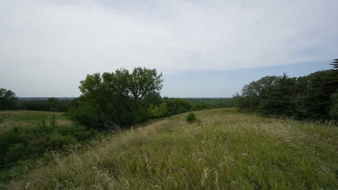91 acres in Nickerson, NE, 68044 MLS 22223977 LandWatch