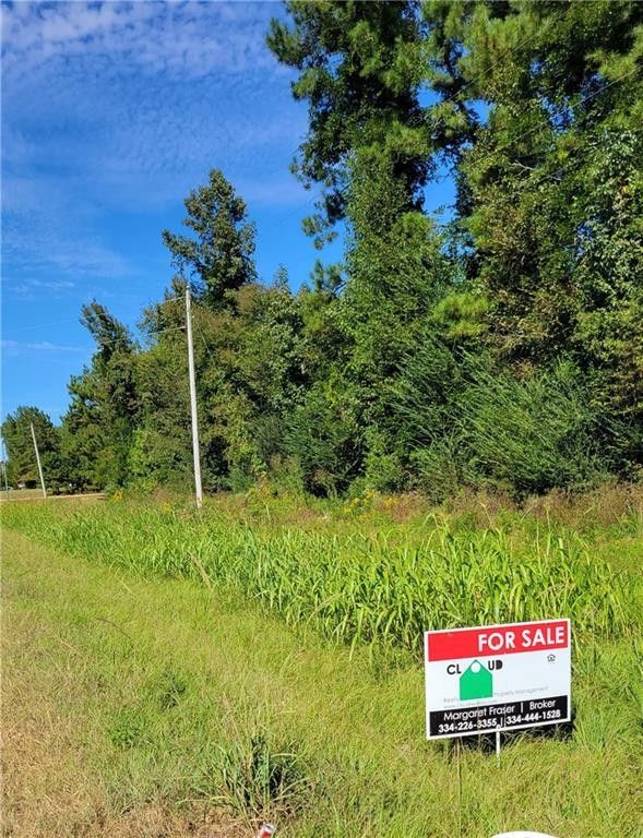 Shorter, Macon County, AL Undeveloped Land for sale Property ID