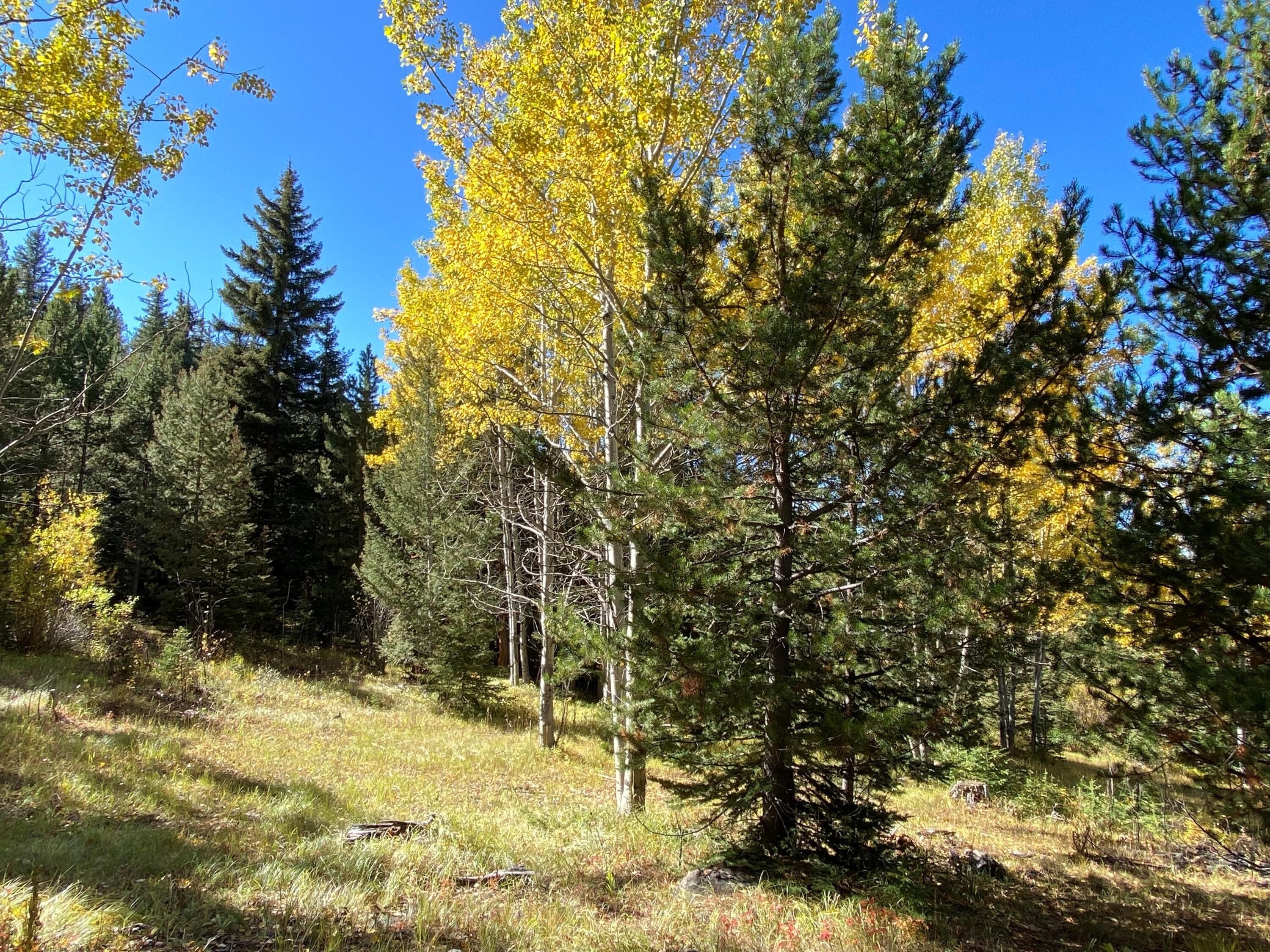 Deer Lodge, Deer Lodge County, MT Farms and Ranches for sale Property