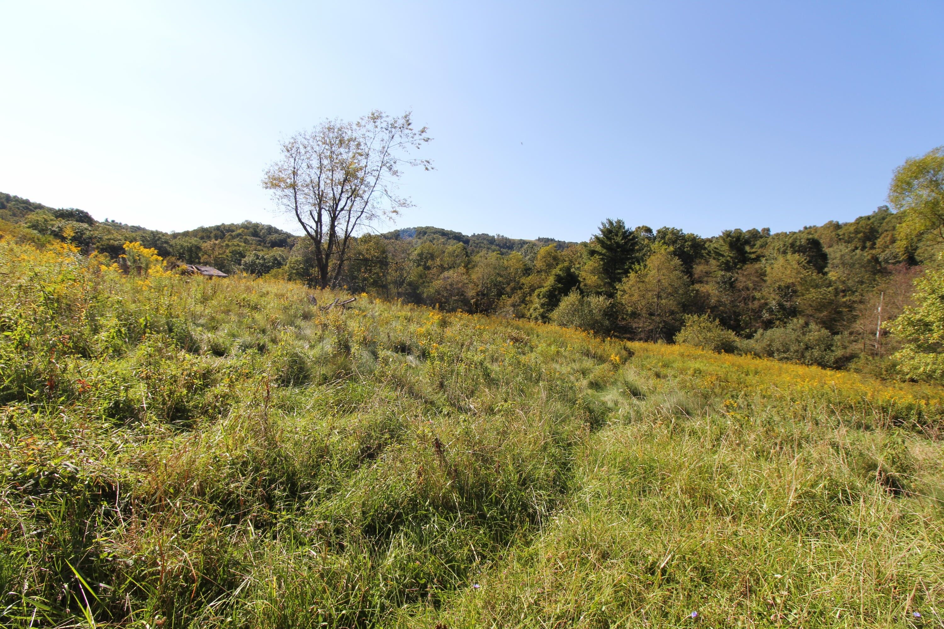 Jumping Branch, Summers County, WV Undeveloped Land for sale Property