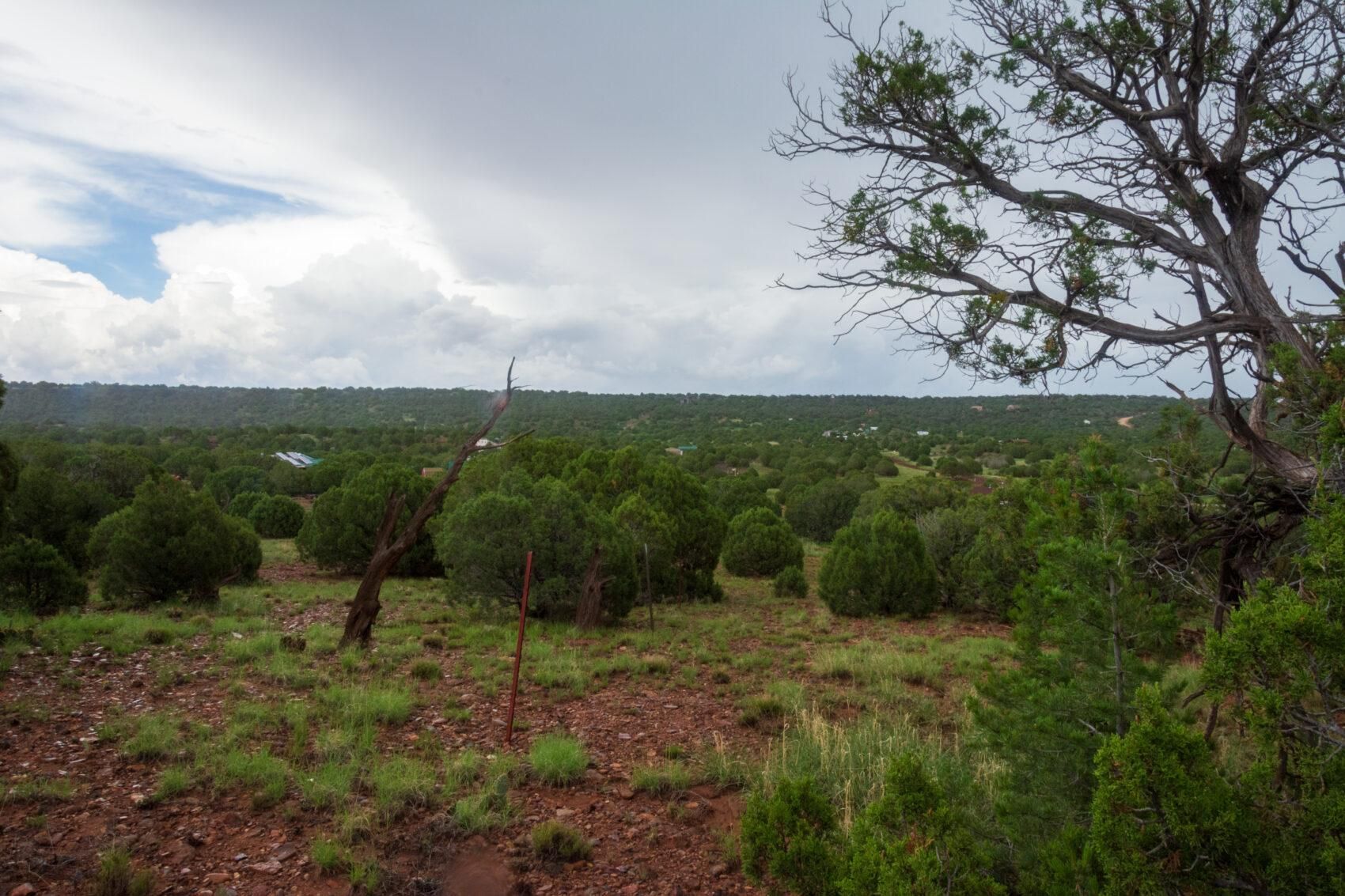 Concho, Apache County, AZ Recreational Property, Homesites for sale