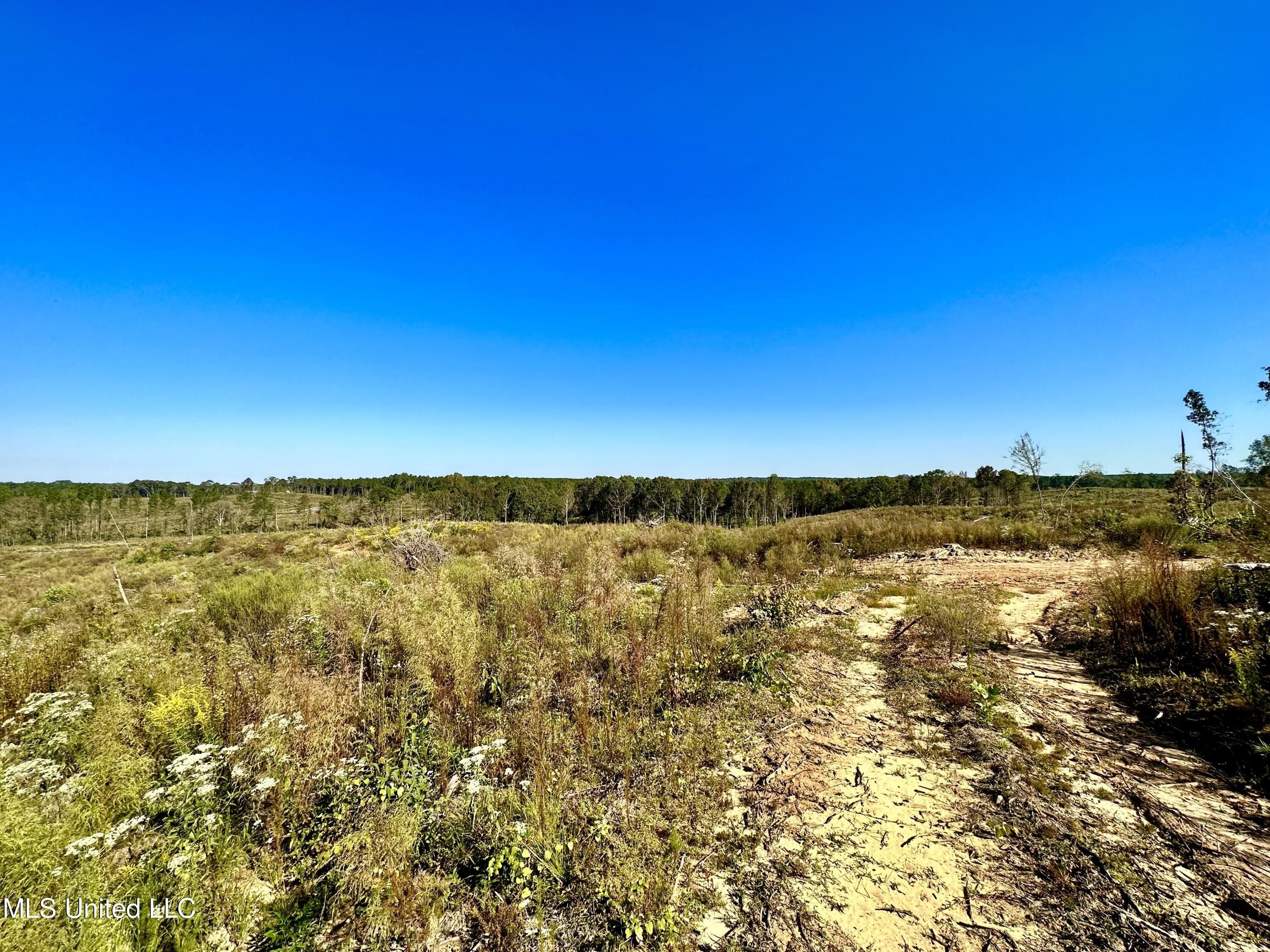 Conehatta, Newton County, MS Undeveloped Land, Lakefront Property
