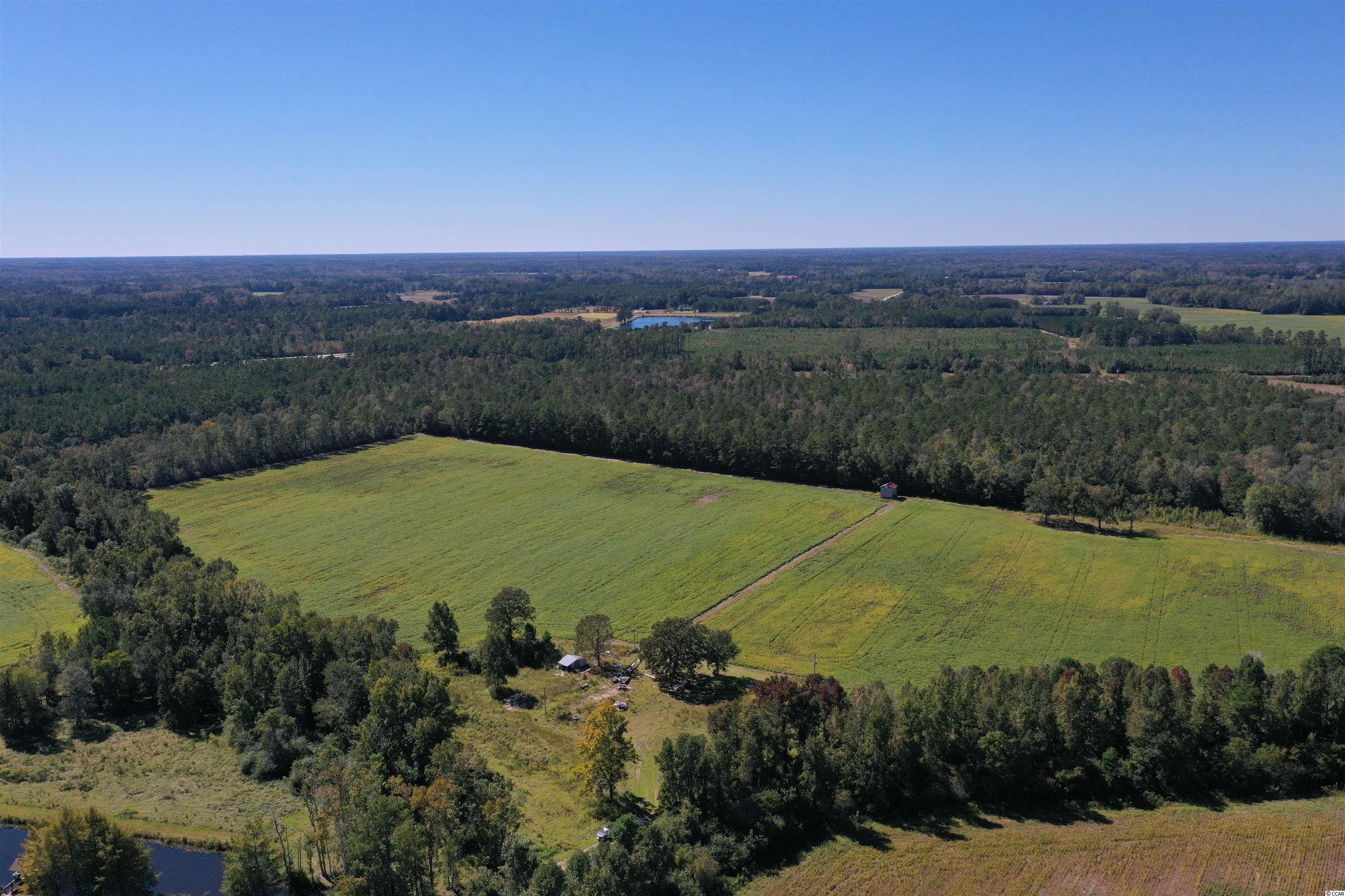Loris, Horry County, SC Undeveloped Land for sale Property ID