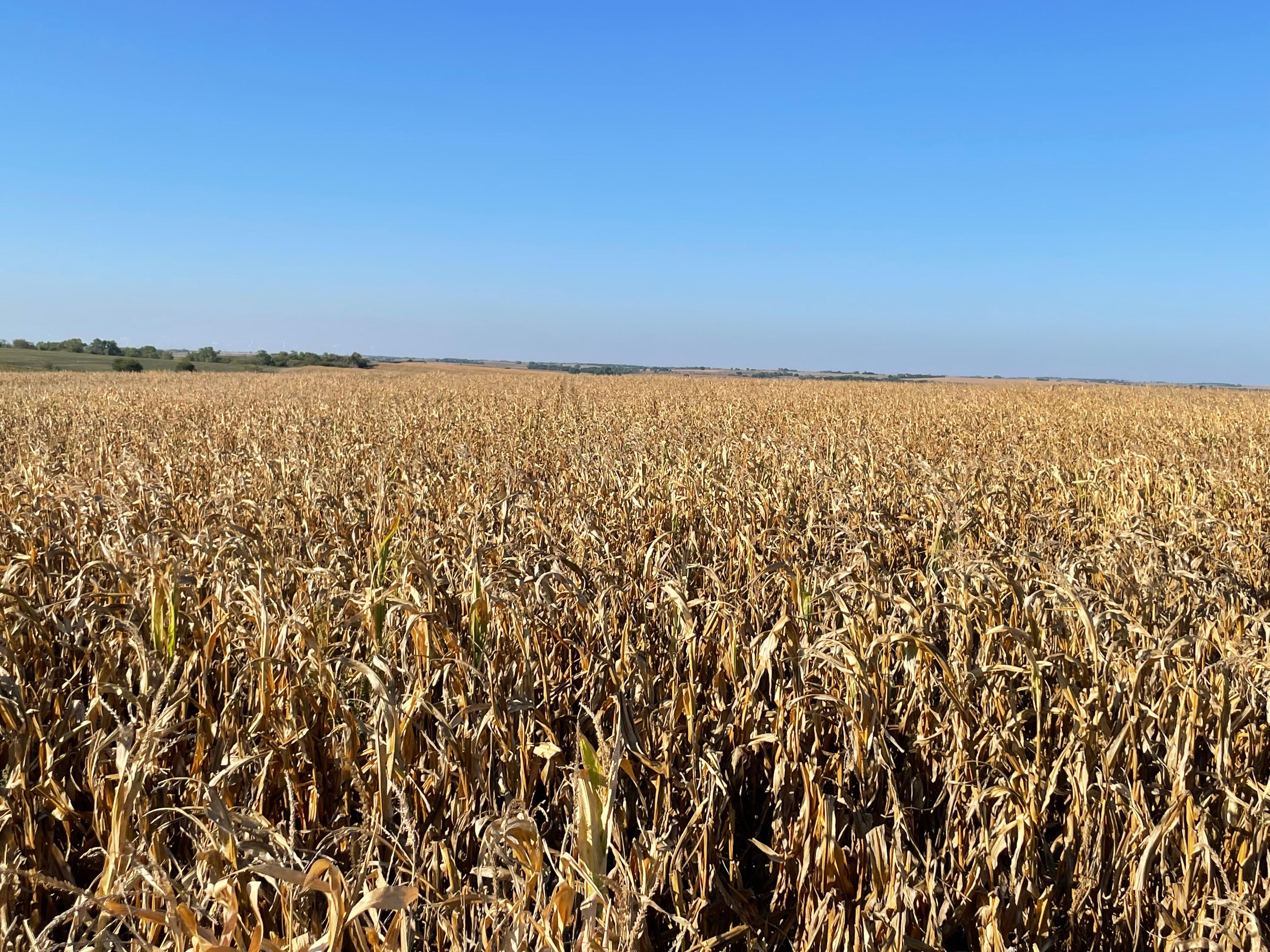 Guide Rock, ster County, NE Farms and Ranches for sale Property ID