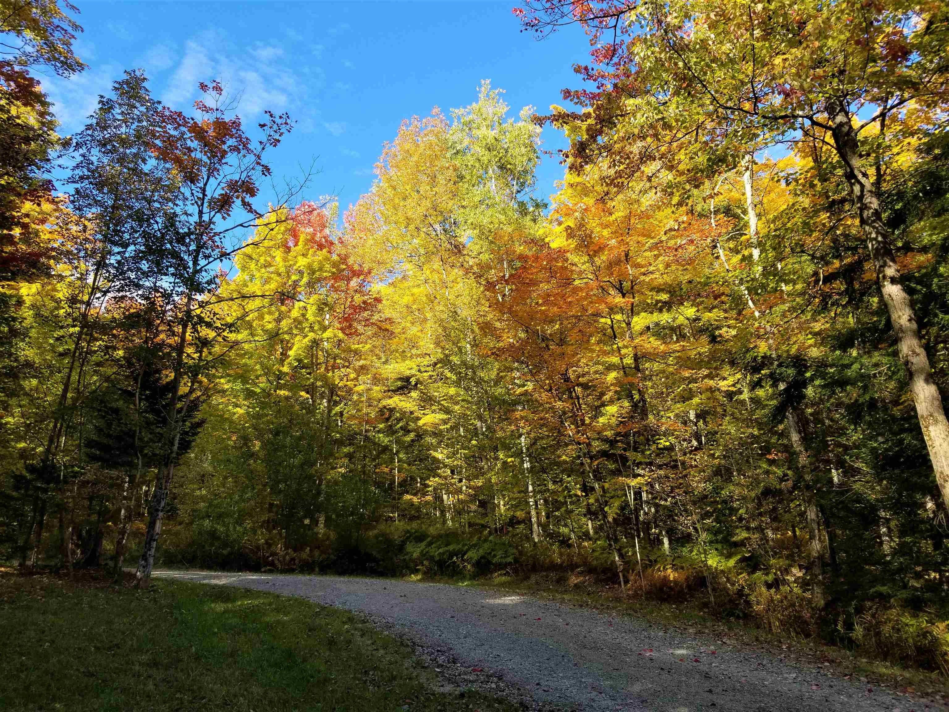 Moretown, Washington County, VT Undeveloped Land for sale Property ID