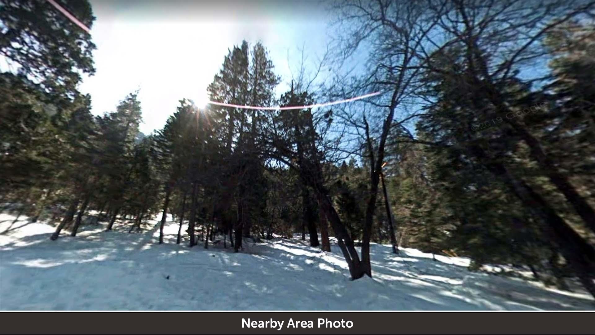 Forest Falls, San Bernardino County, CA Undeveloped Land, Homesites for