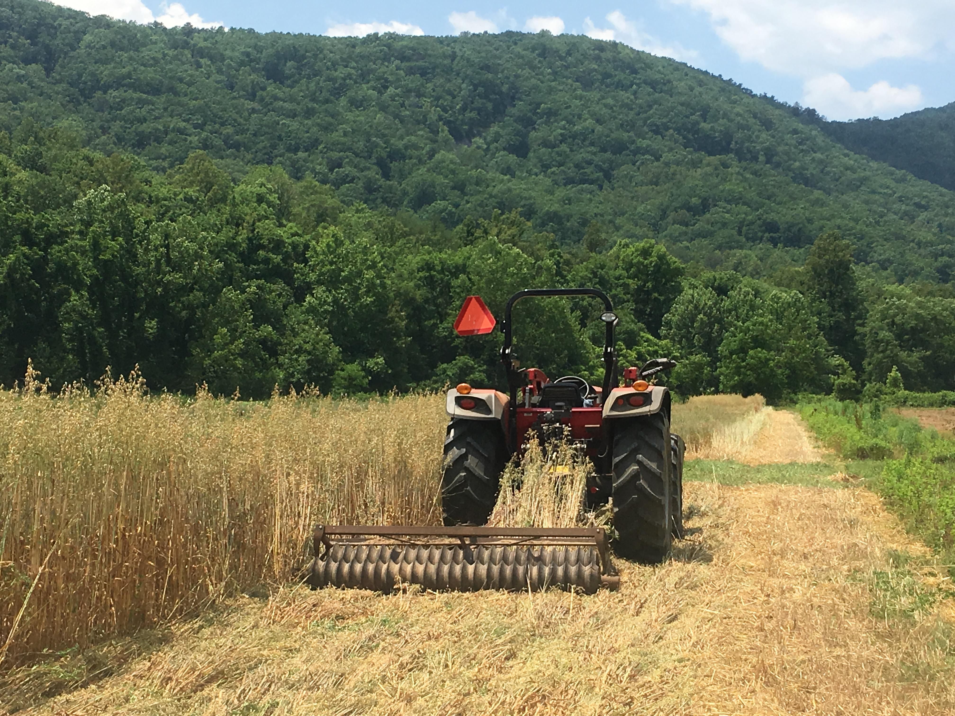 Lake Lure, Rutherford County, NC Farms and Ranches, Horse Property