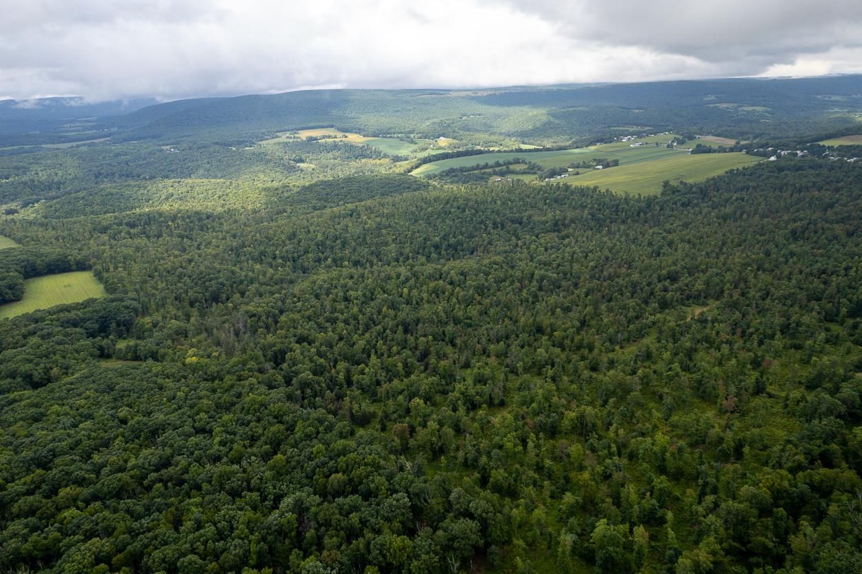 Ringtown, Schuylkill County, PA Recreational Property, Timberland