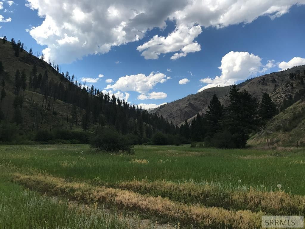Shoup, Lemhi County, ID Undeveloped Land, Lakefront Property