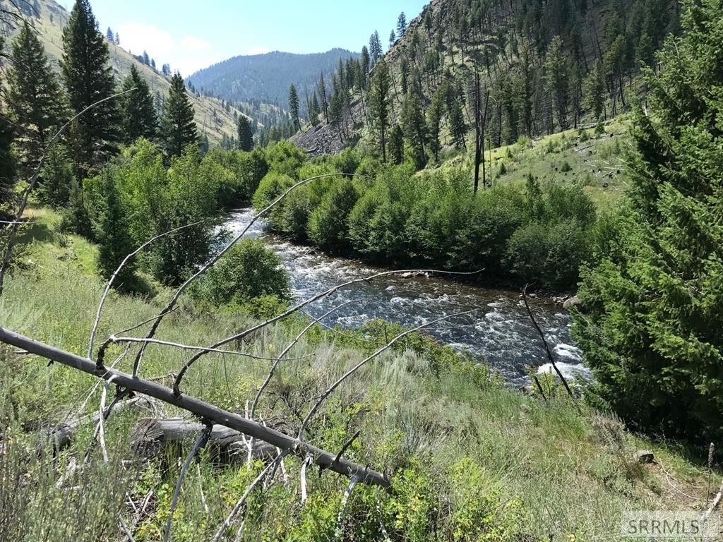 Shoup, Lemhi County, ID Undeveloped Land, Lakefront Property