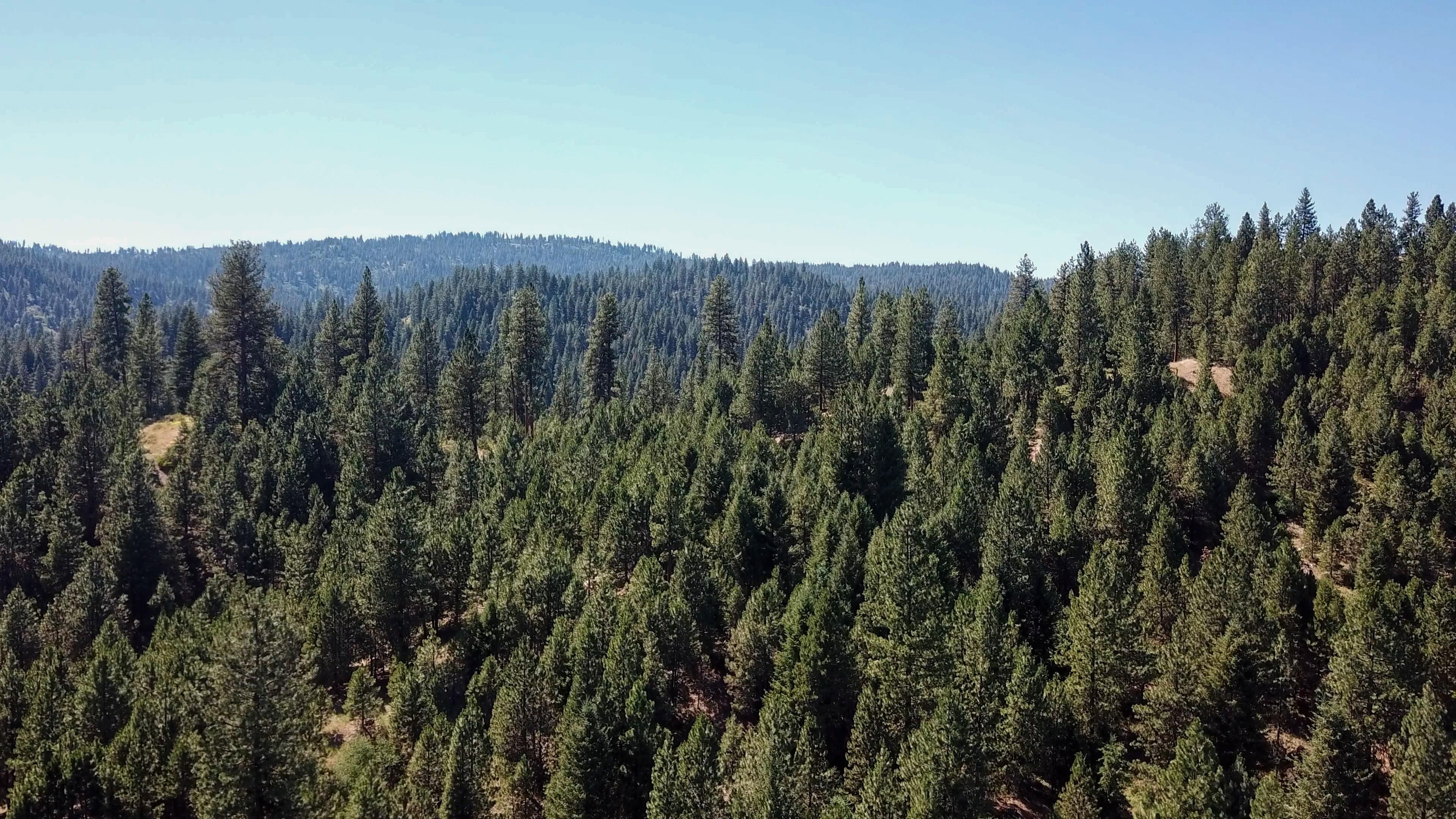Idaho City, Boise County, ID Recreational Property, Undeveloped Land