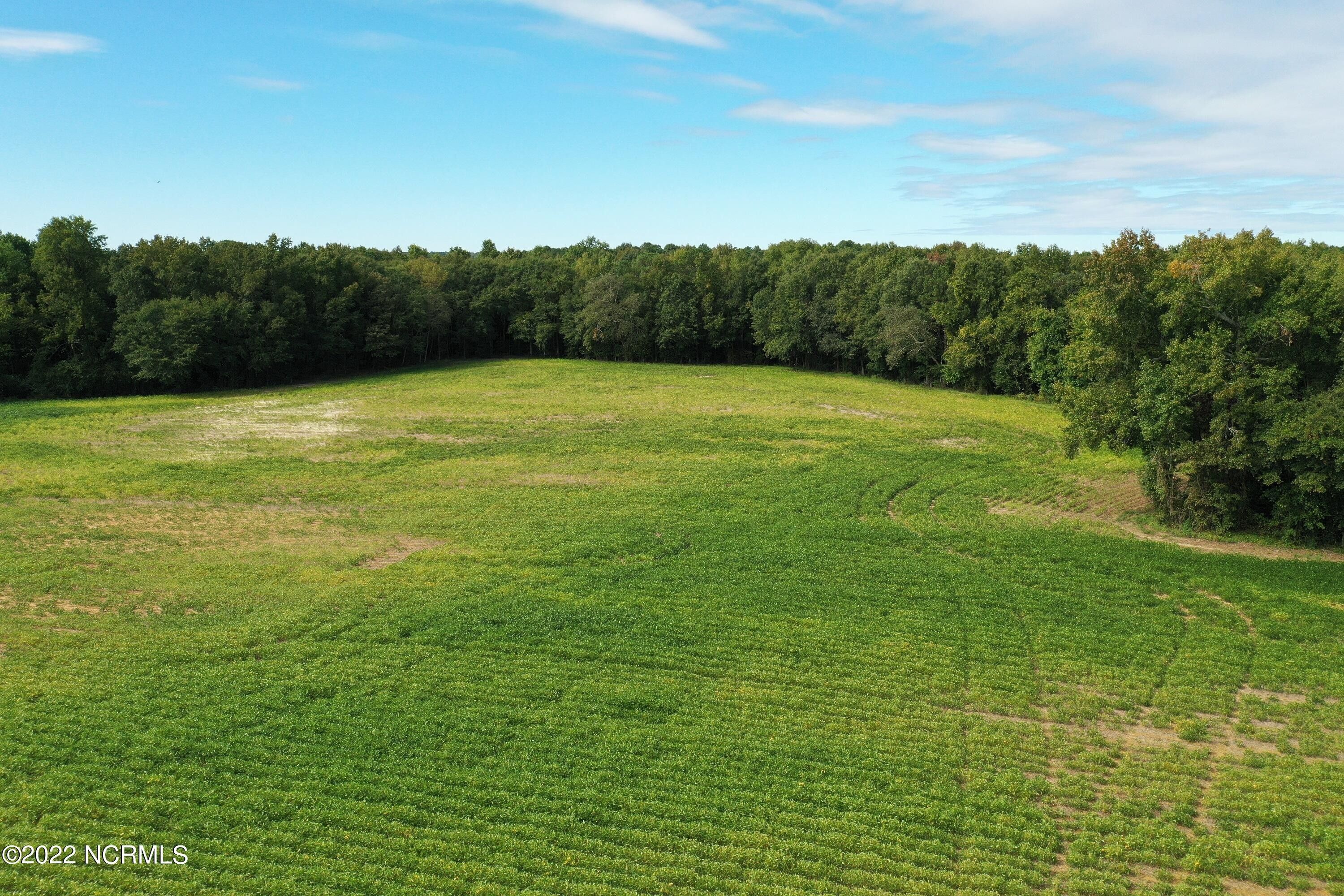 Stantonsburg, Wayne County, NC Farms and Ranches for sale Property ID 414993739 LandWatch