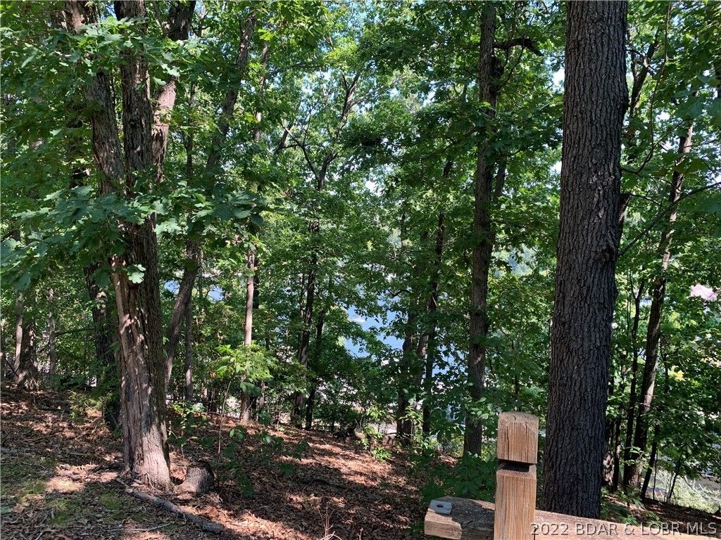 Hugo, Camden County, MO Lakefront Property, Waterfront Property, House