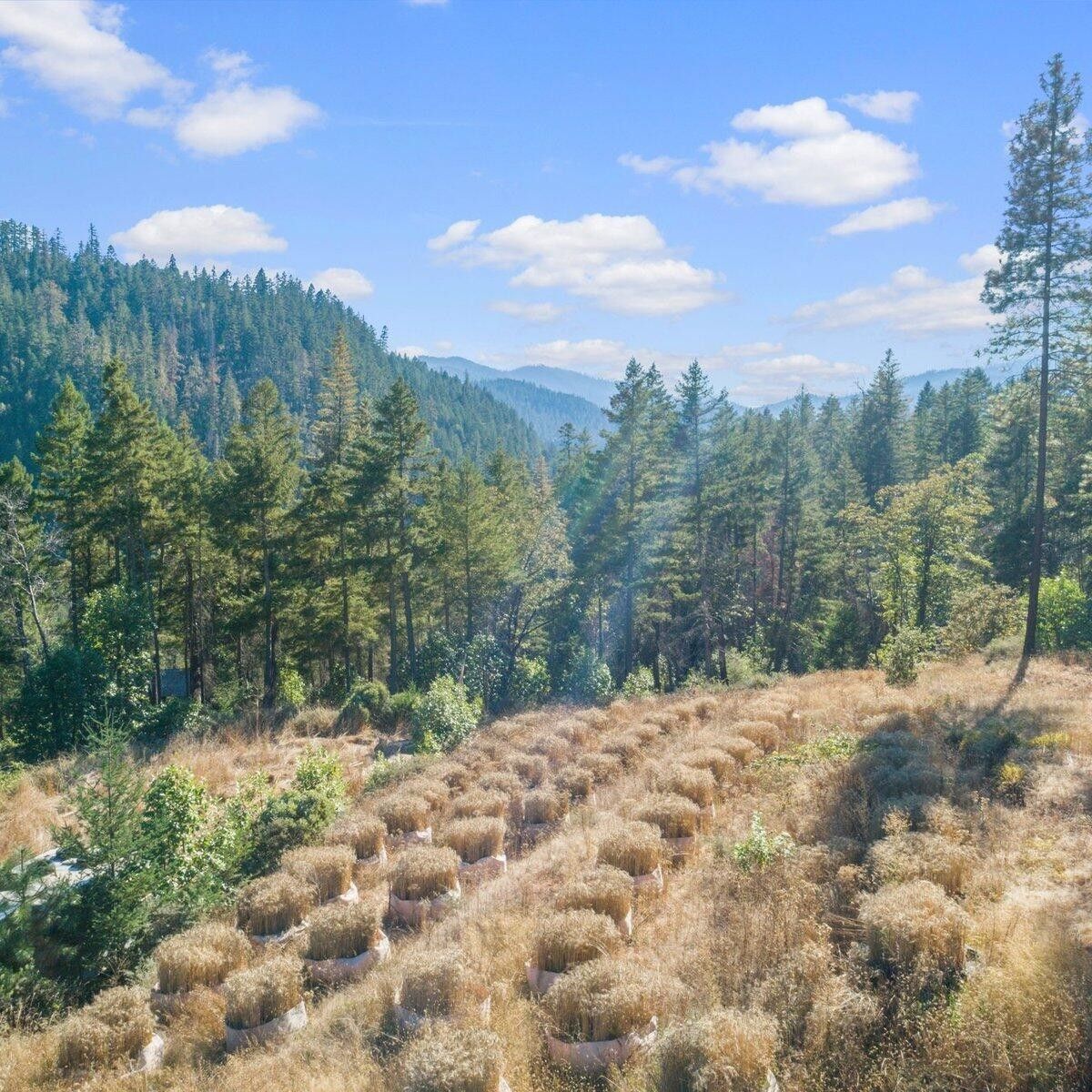 Wolf Creek, Josephine County, OR Undeveloped Land, Lakefront Property, Waterfront Property for