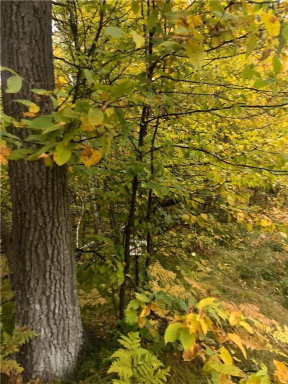 Breezy Point, Crow Wing County, MN Farms and Ranches, Homesites for