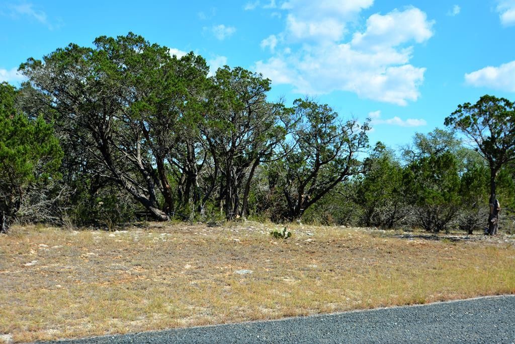 Center Point, Kerr County, TX Undeveloped Land, Lakefront Property