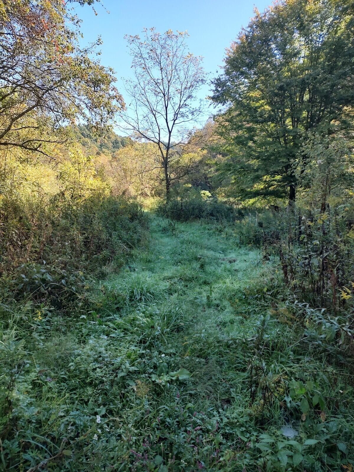 Bristol, Sullivan County, TN Undeveloped Land for sale Property ID