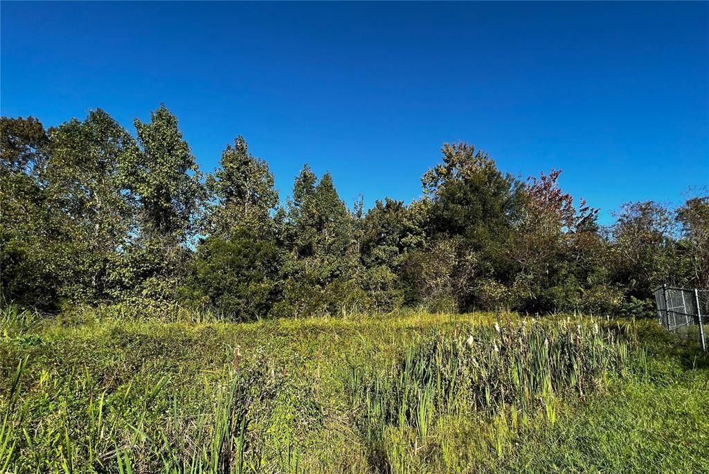 Orlando, Orange County, FL Undeveloped Land, Homesites for sale