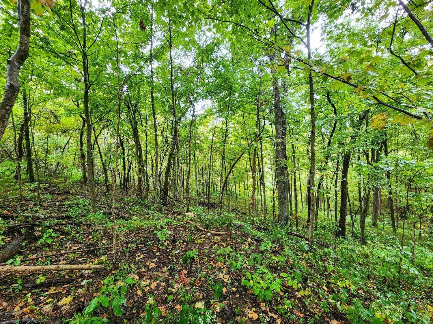 Scottown, Lawrence County, OH Undeveloped Land for sale Property ID 414774122 LandWatch