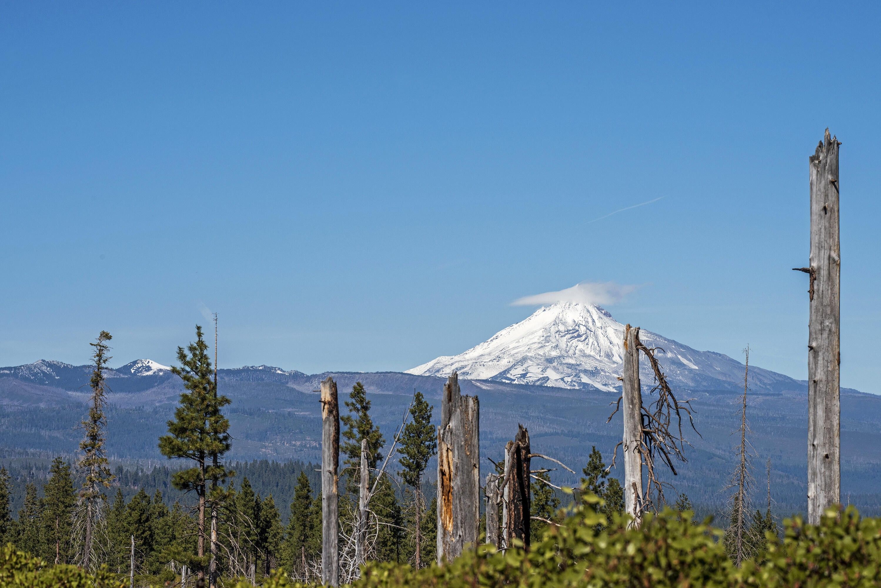 Sisters, Deschutes County, OR Undeveloped Land for sale Property ID