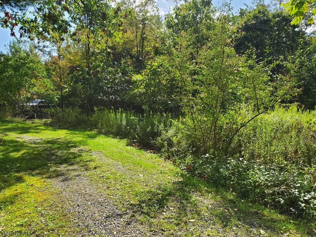Clearville, Bedford County, PA Undeveloped Land for sale Property ID