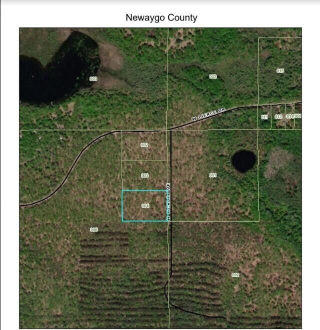 White Cloud, Newaygo County, MI Undeveloped Land for sale Property ID 415002077 LandWatch