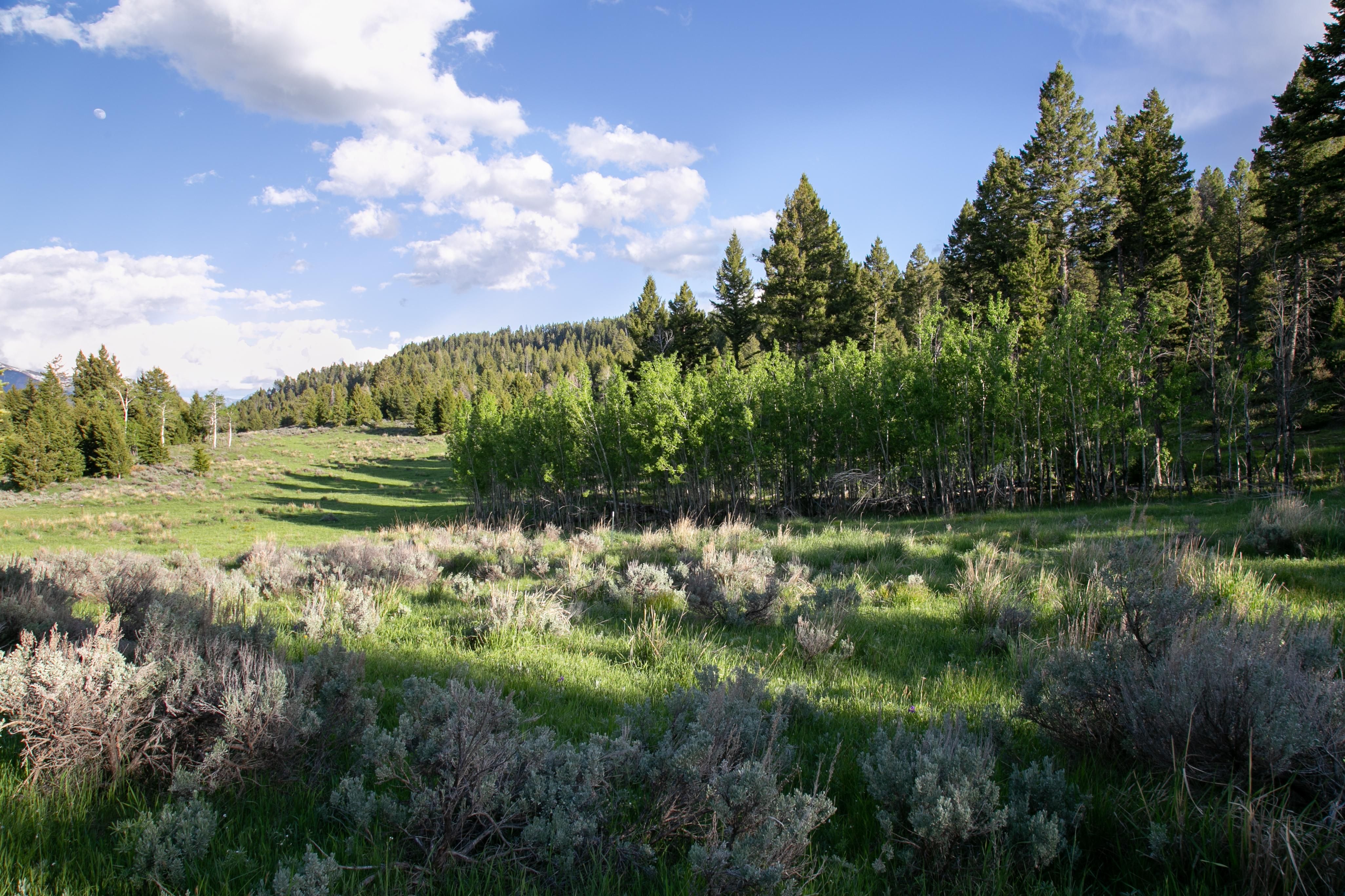 Lot 29 Sun West Ranch, Cameron, MT 59720 MLS 387417 LandWatch