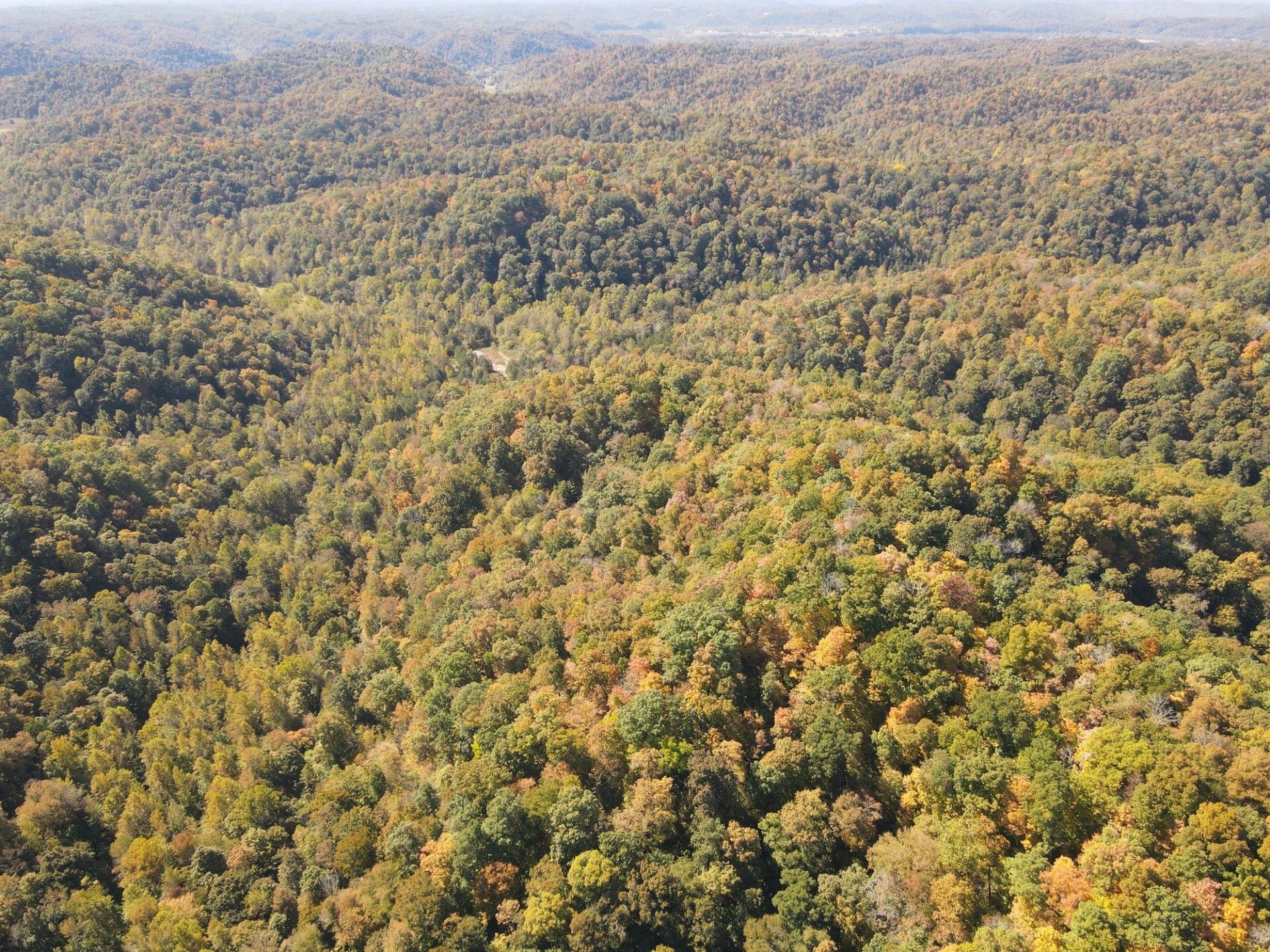 Burkesville, Cumberland County, KY Undeveloped Land, Lakefront Property