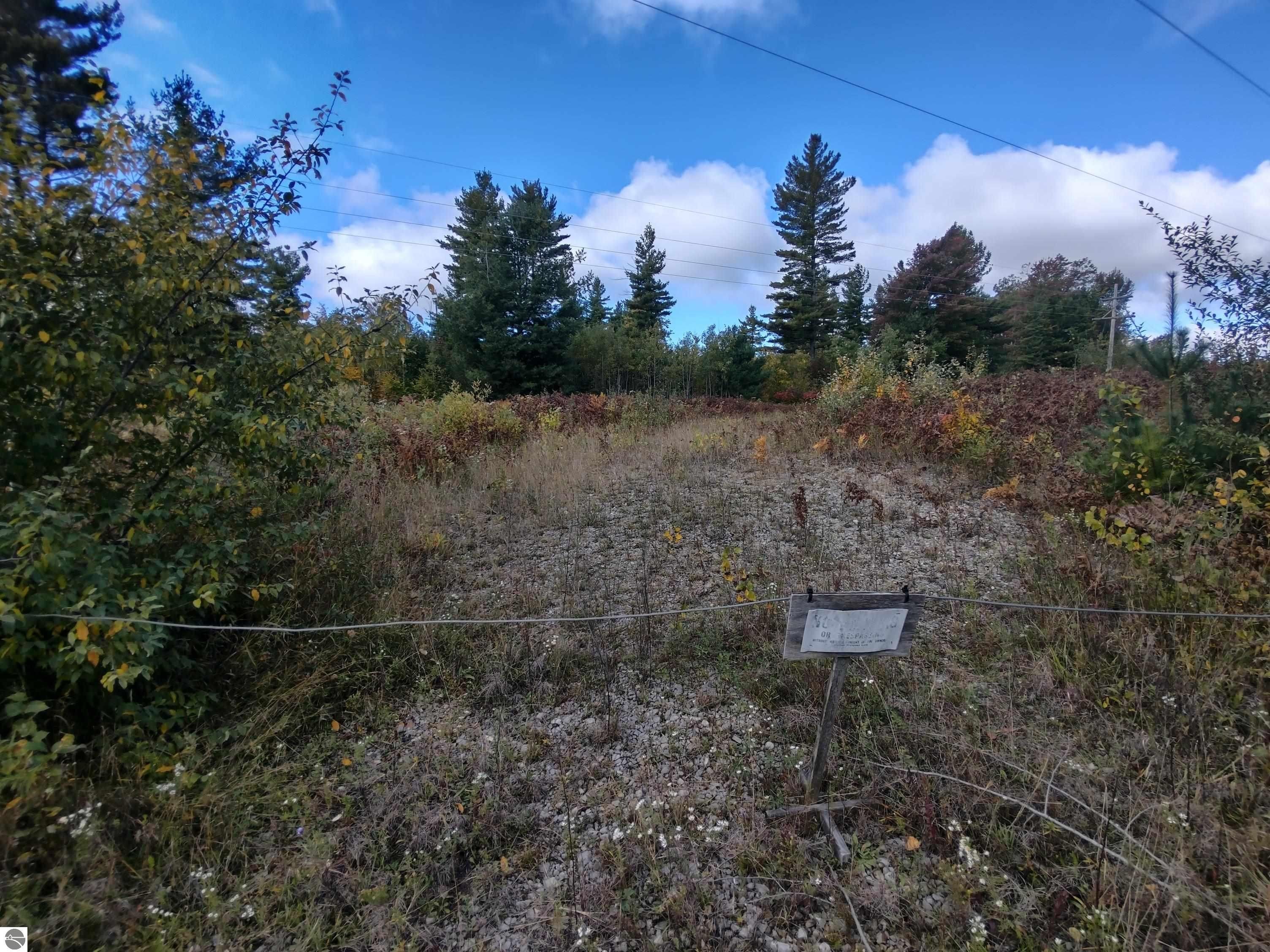 Twining, Arenac County, MI Undeveloped Land, Lakefront Property