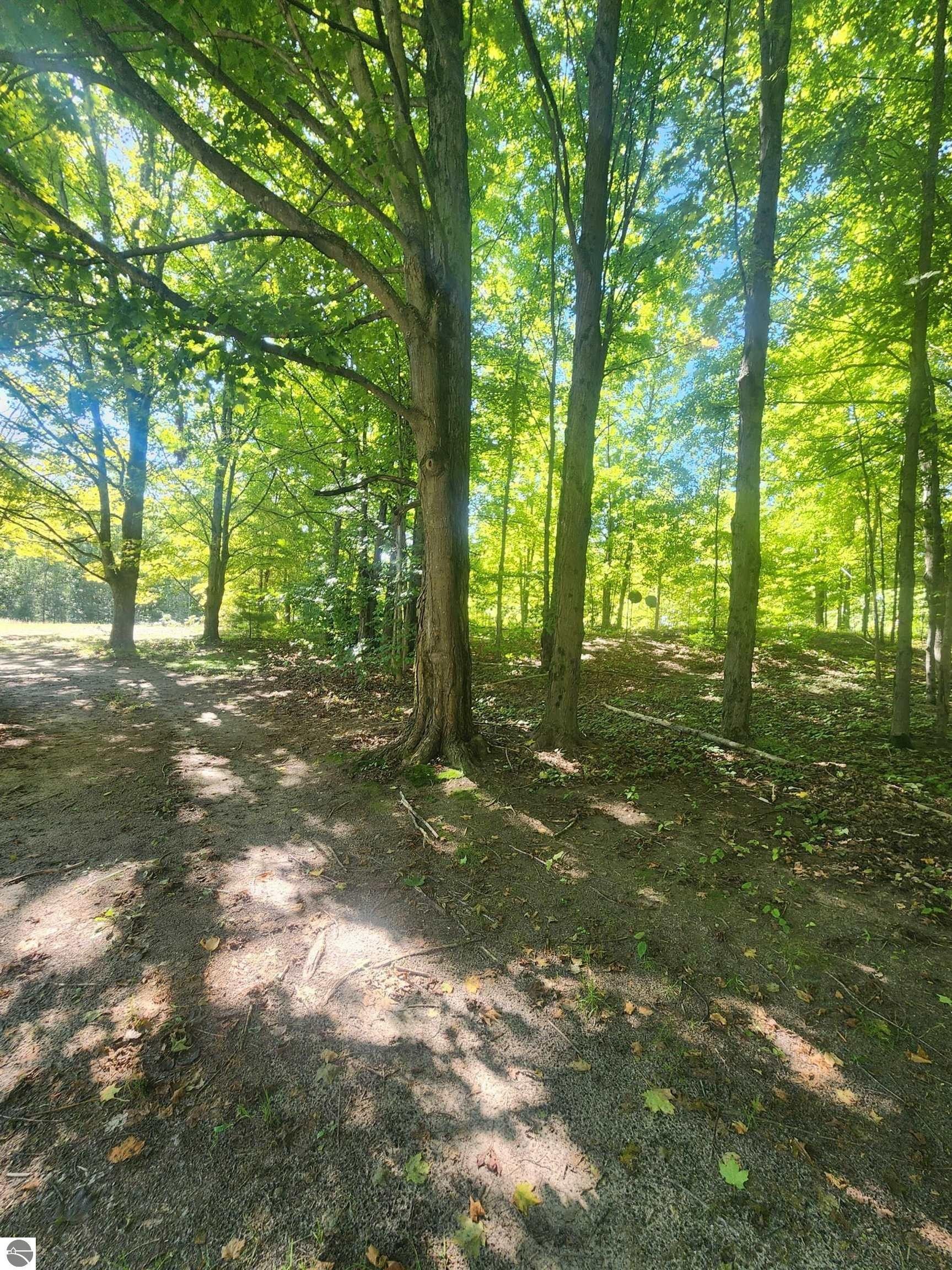 Leroy, Osceola County, MI Farms and Ranches, Homesites for sale