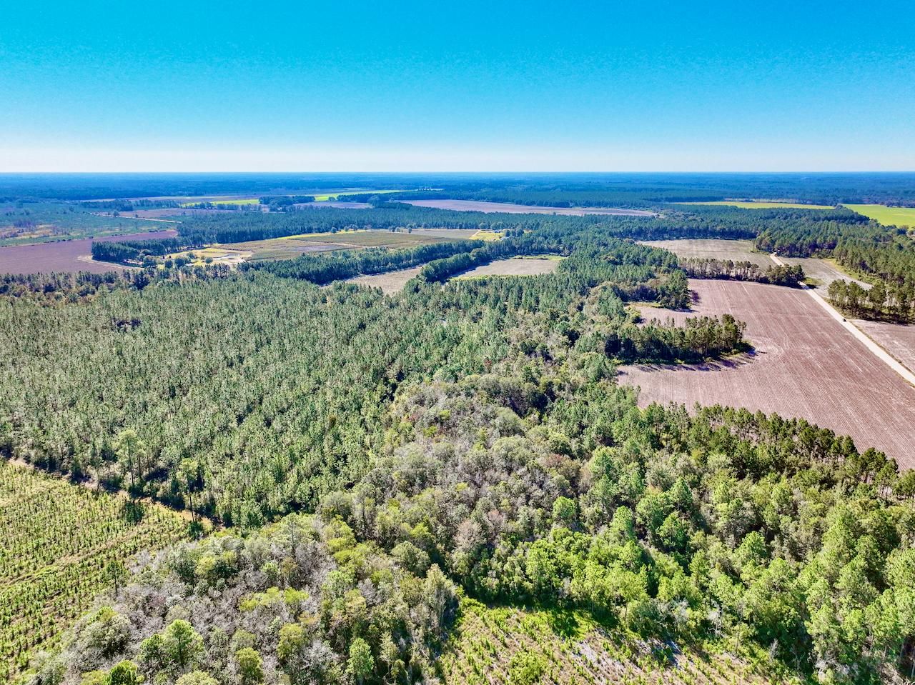 Hazlehurst, Jeff Davis County, GA Recreational Property, Timberland