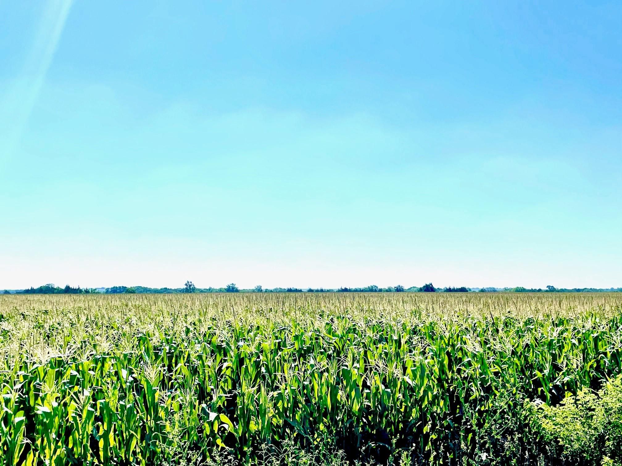 York, York County, NE Farms and Ranches for sale Property ID 415006934