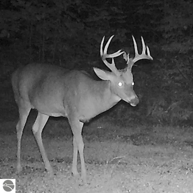 Atlanta, Montmorency County, MI Undeveloped Land, Lakefront Property