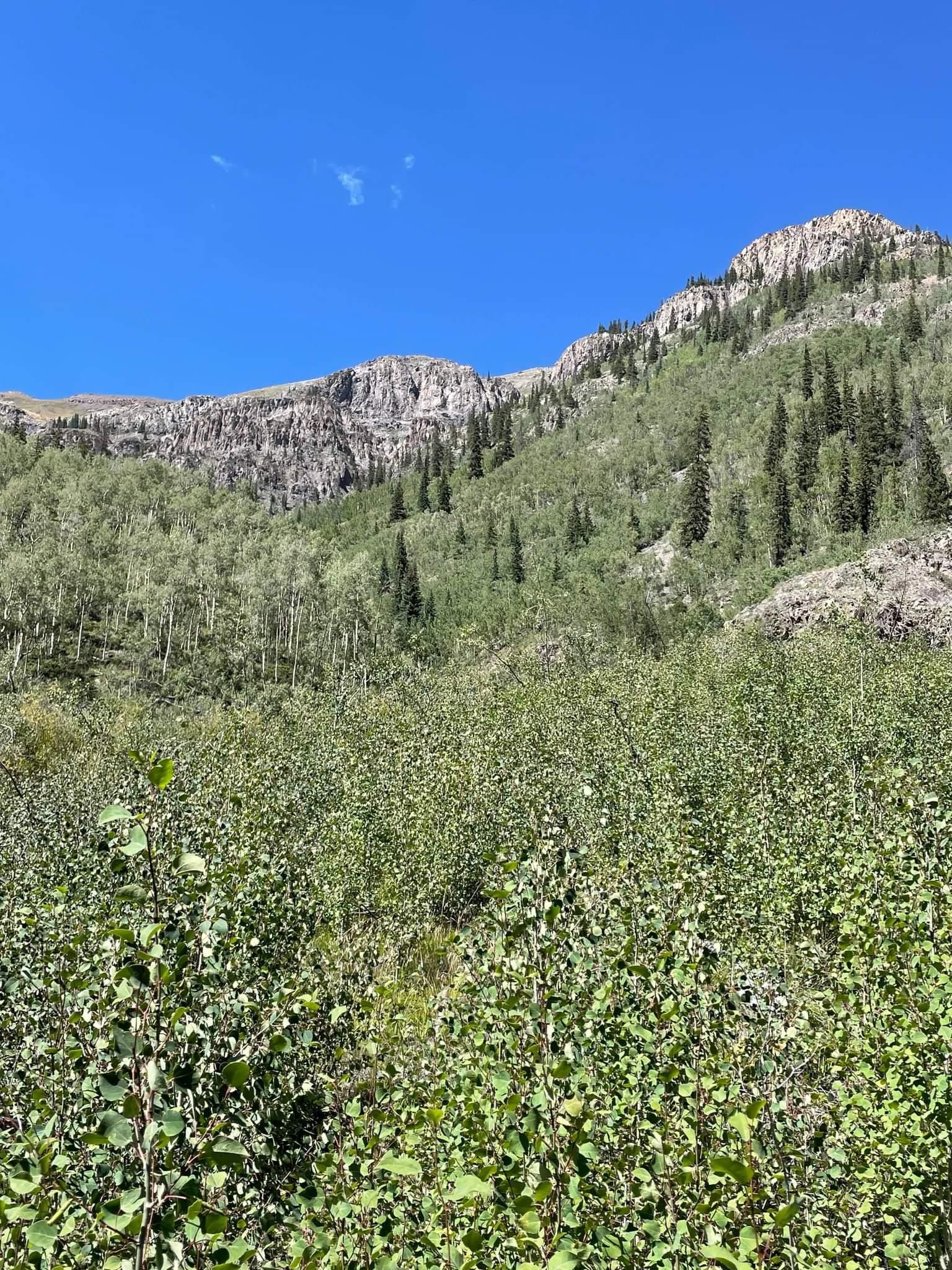 10.16 acres in Lake City, CO, 81235 LandWatch