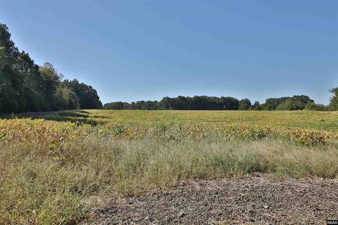 Dyer, Gibson County, TN Farms and Ranches for sale Property ID