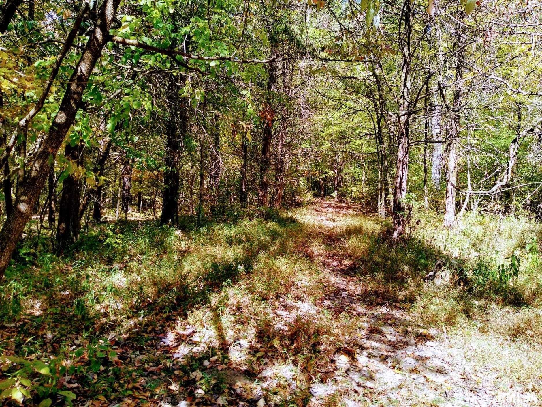 Vienna, Johnson County, IL Farms and Ranches for sale Property ID