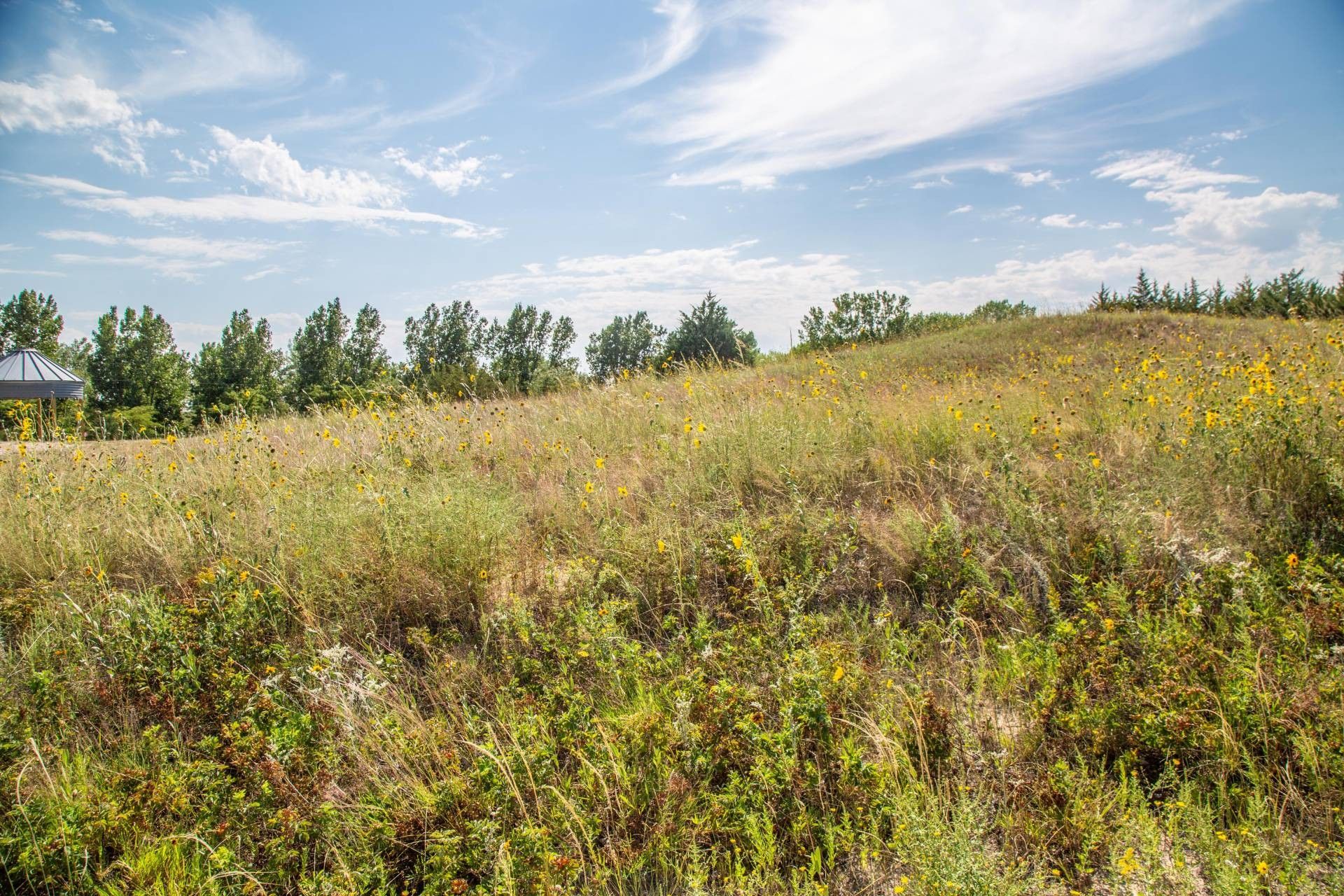 Burwell, Garfield County, NE Undeveloped Land, Homesites for sale Property ID 415010145 LandWatch