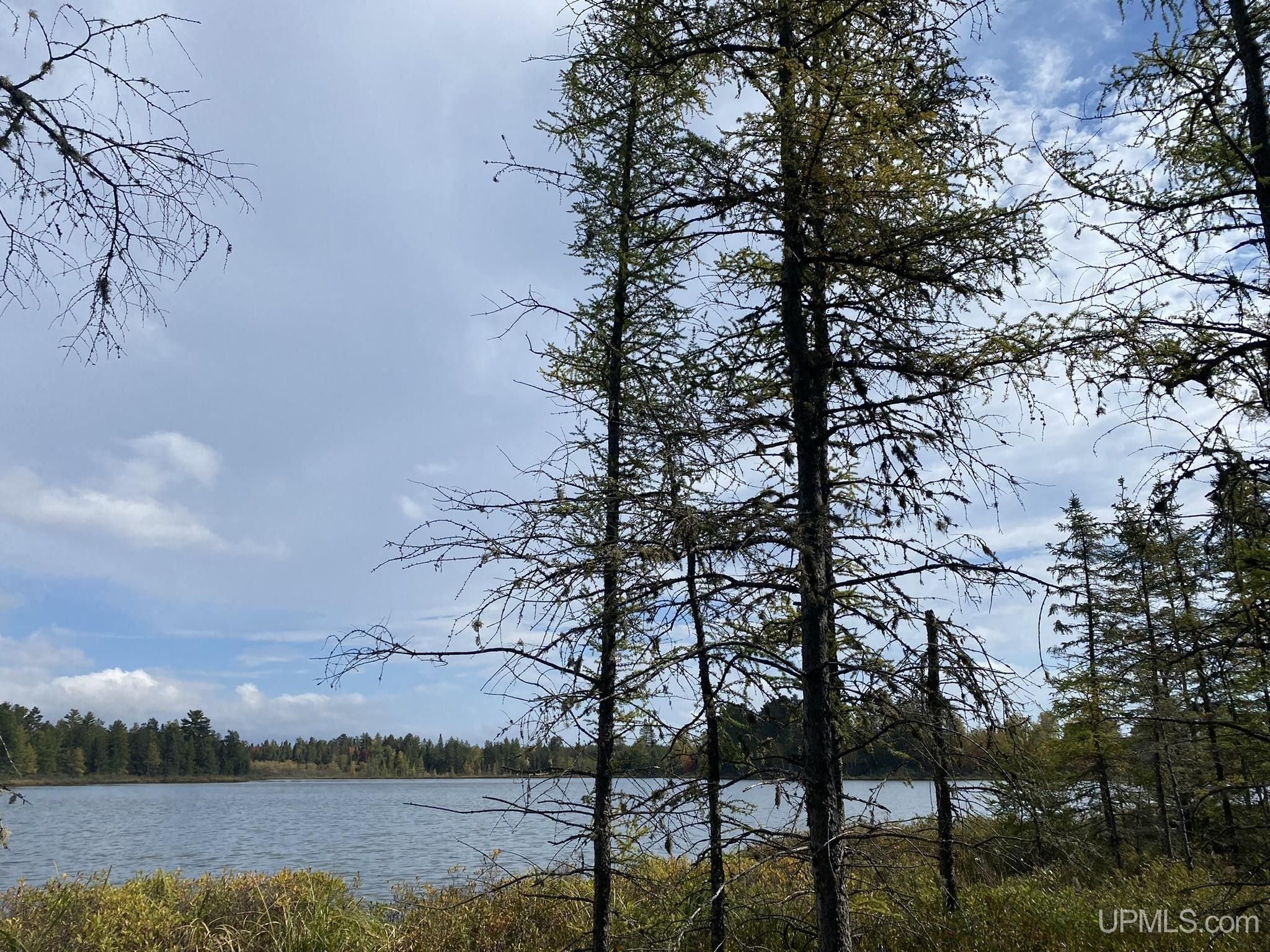 Gwinn, Marquette County, MI Undeveloped Land, Lakefront Property