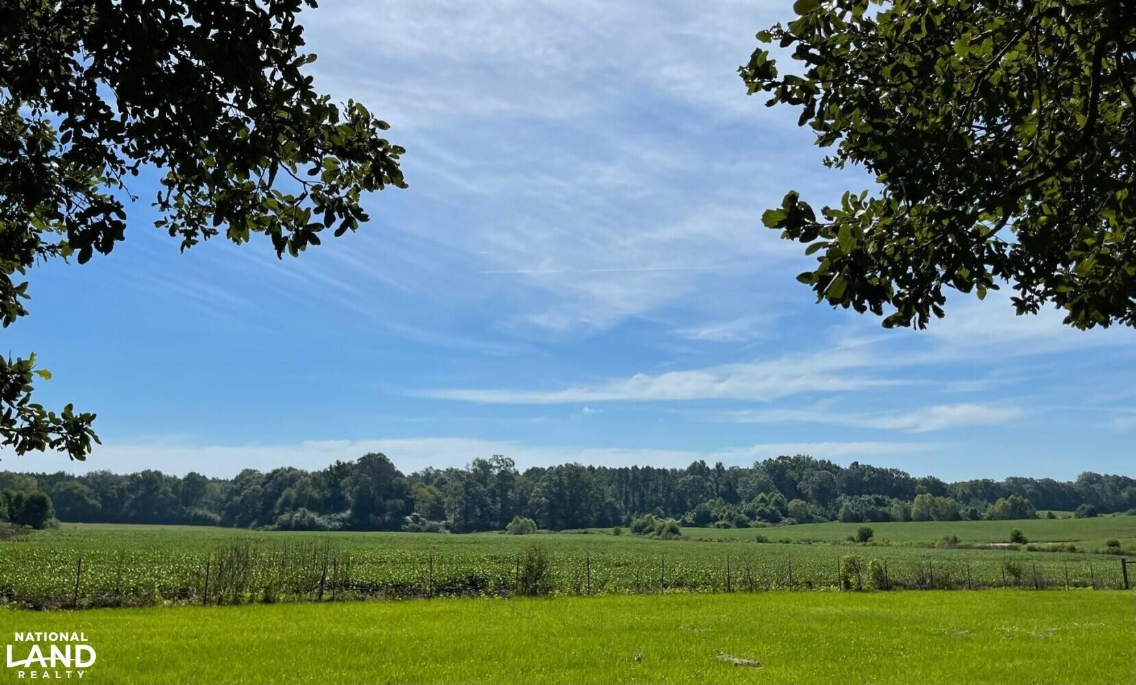 Jayess, Walthall County, MS Farms and Ranches, Recreational Property, House for sale Property ID